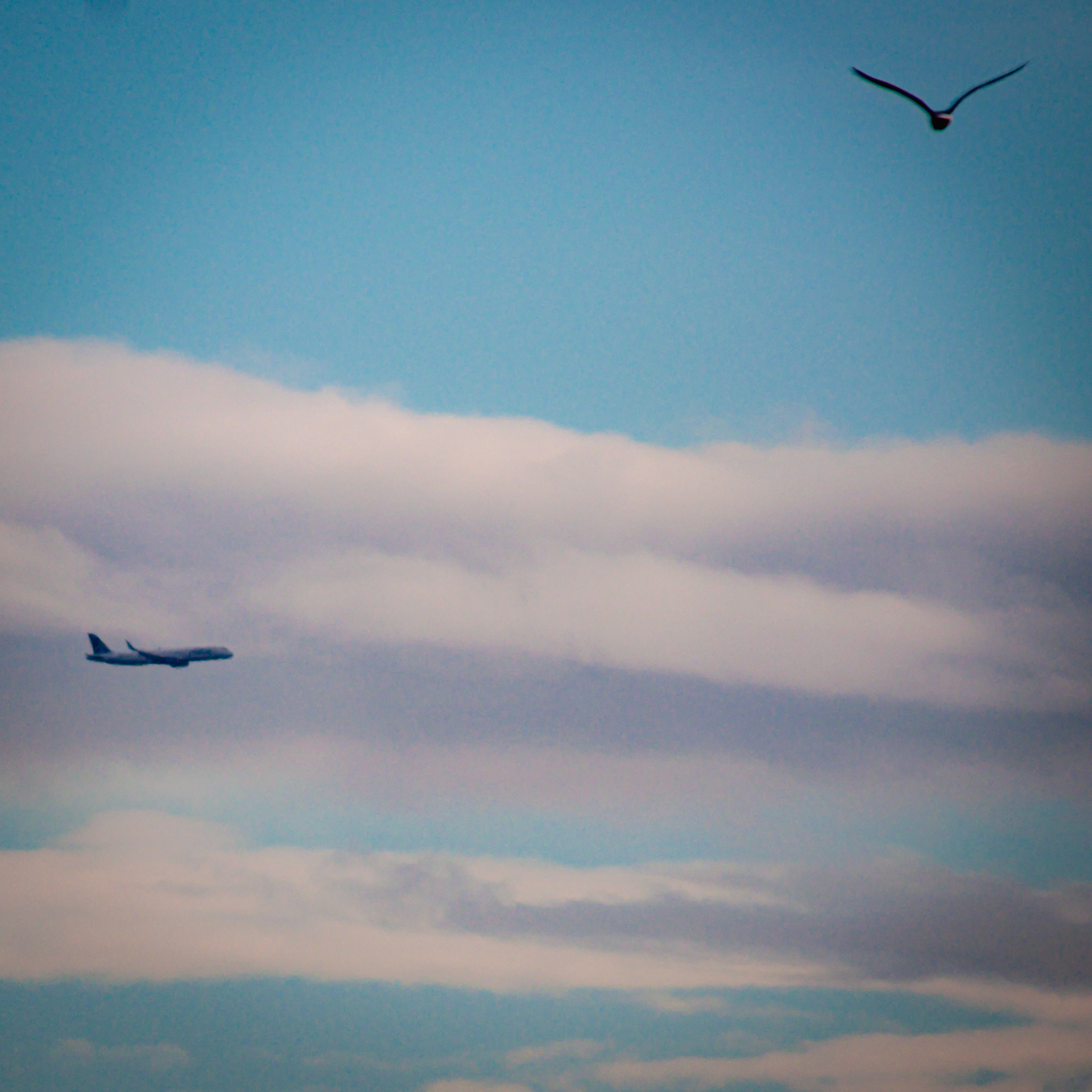 JBU892 | Tampa (TPA) - BOS