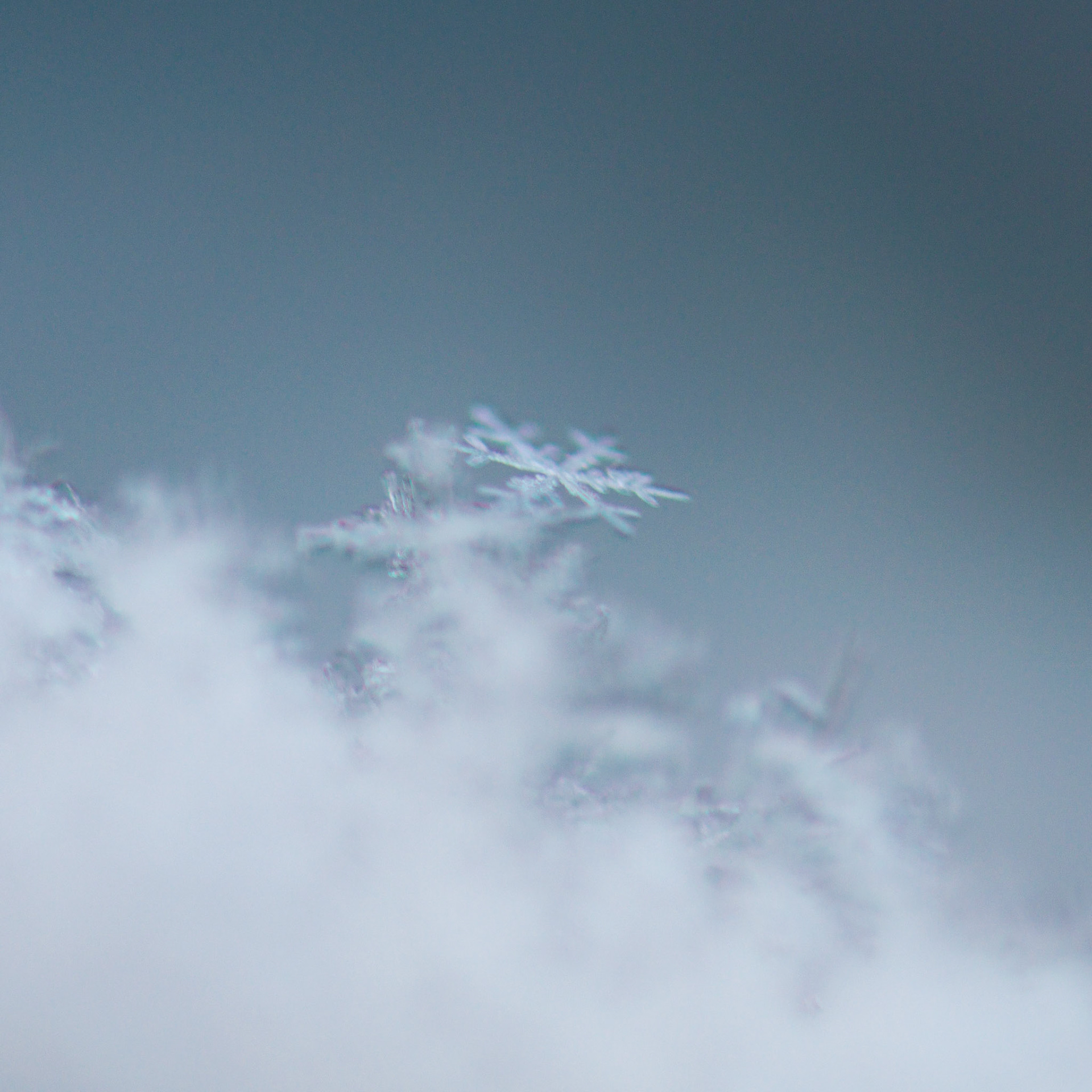 First Snow | 12.06.23 | Marblehead, MA