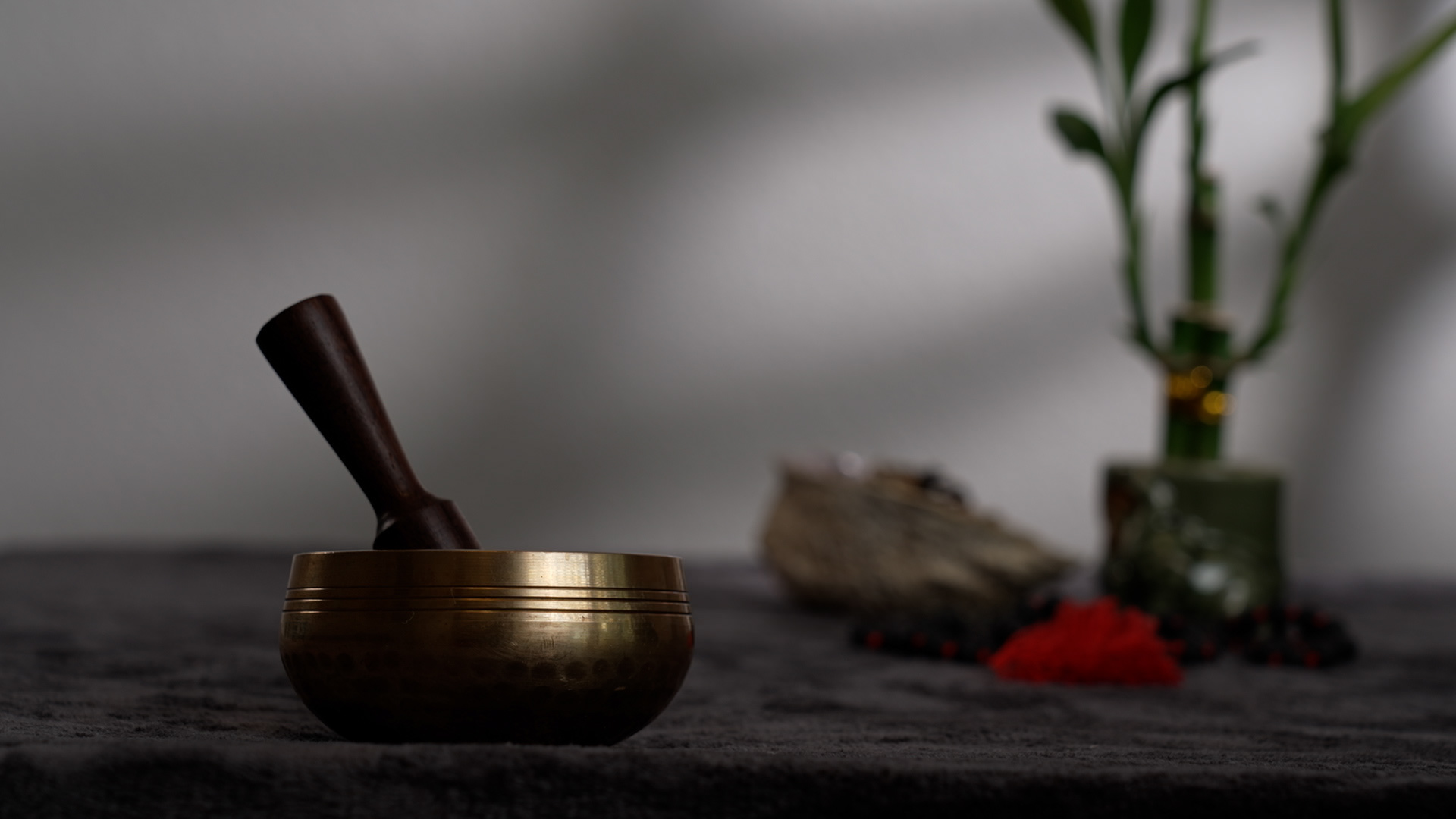 Shallow Depth of Field Image 1