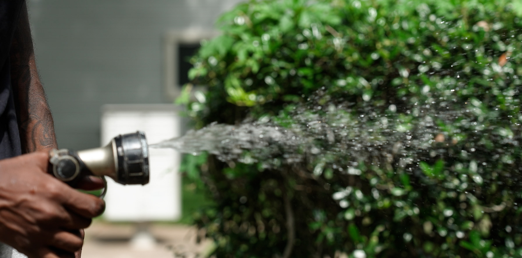 ECU Shutter Speed 1/1000