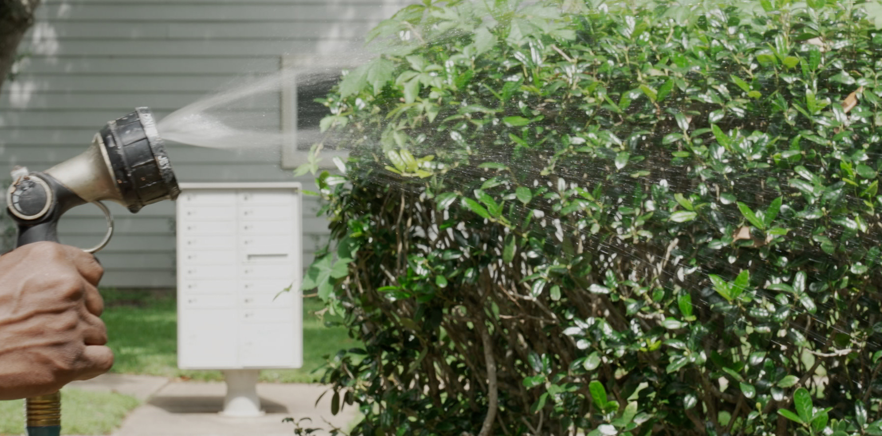 ECU Shutter Speed 2F