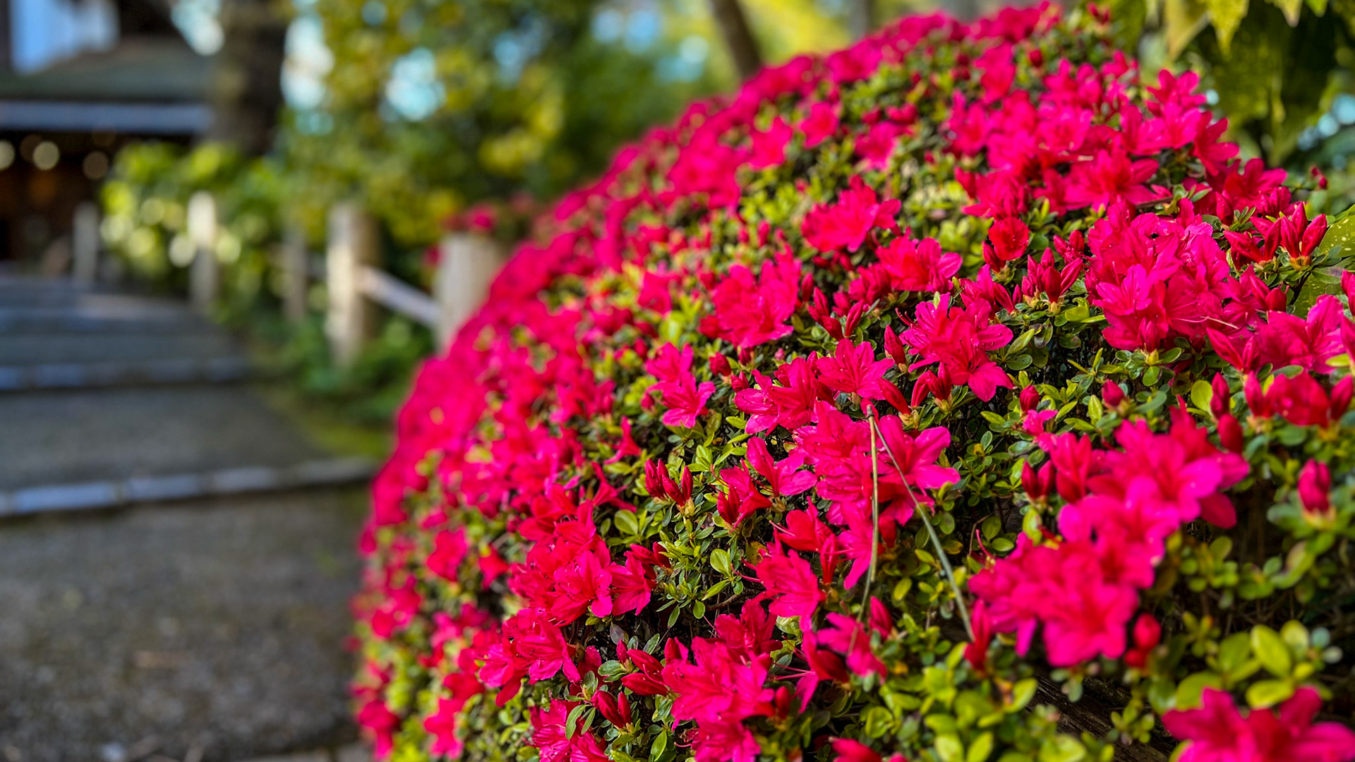 San Francisco, California