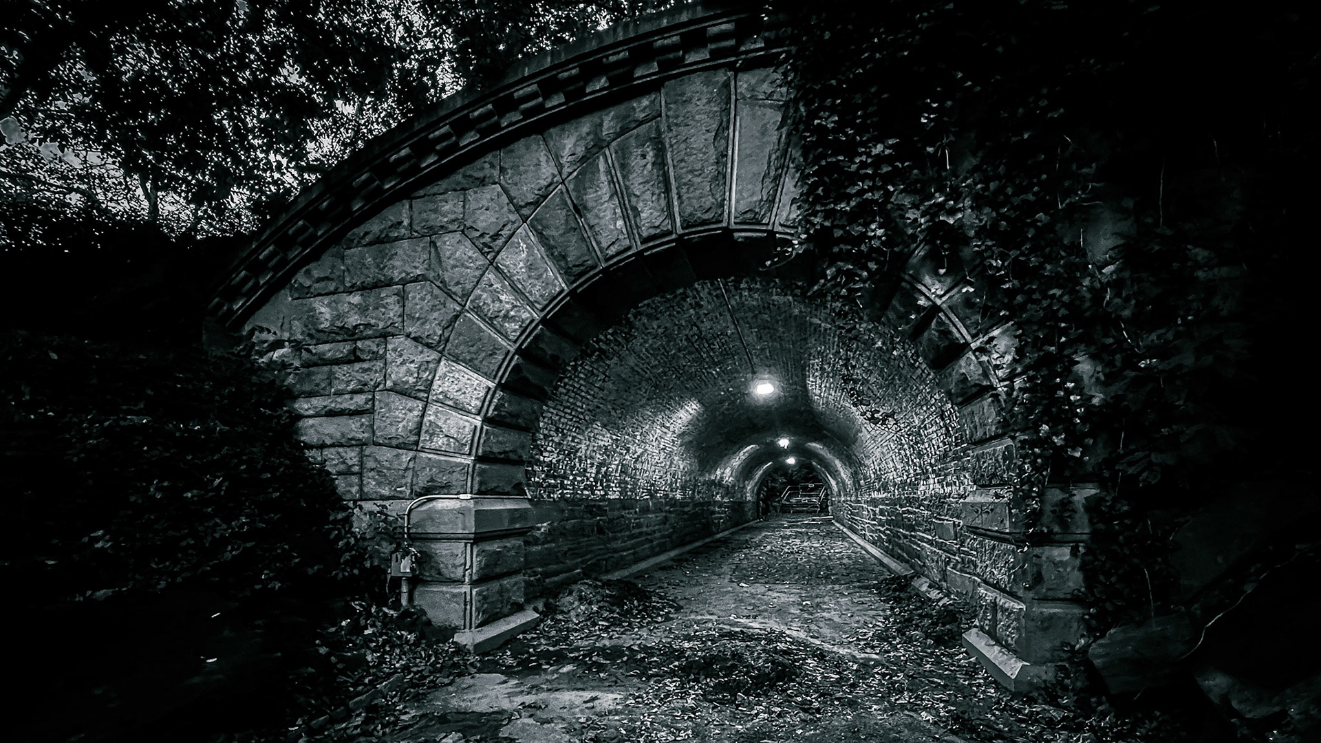 Central Park, New York