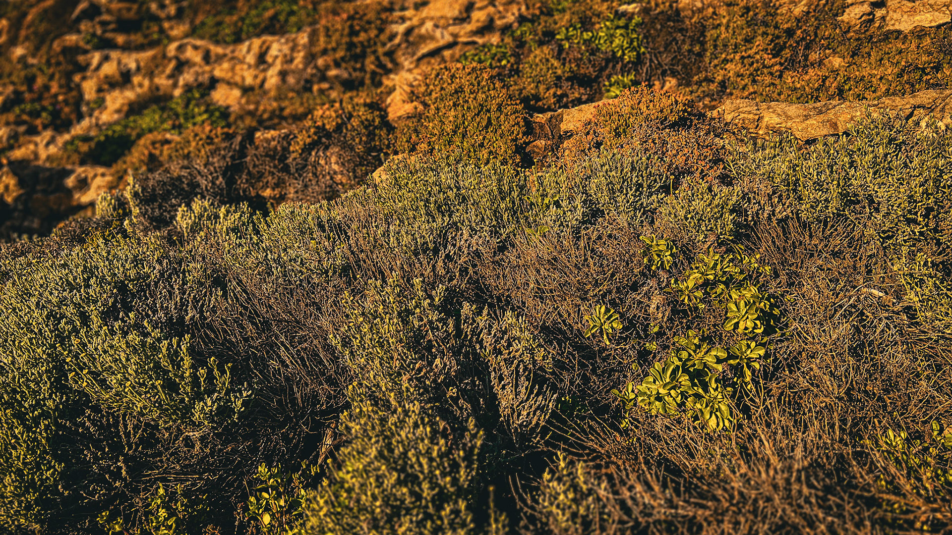 San Francisco, California