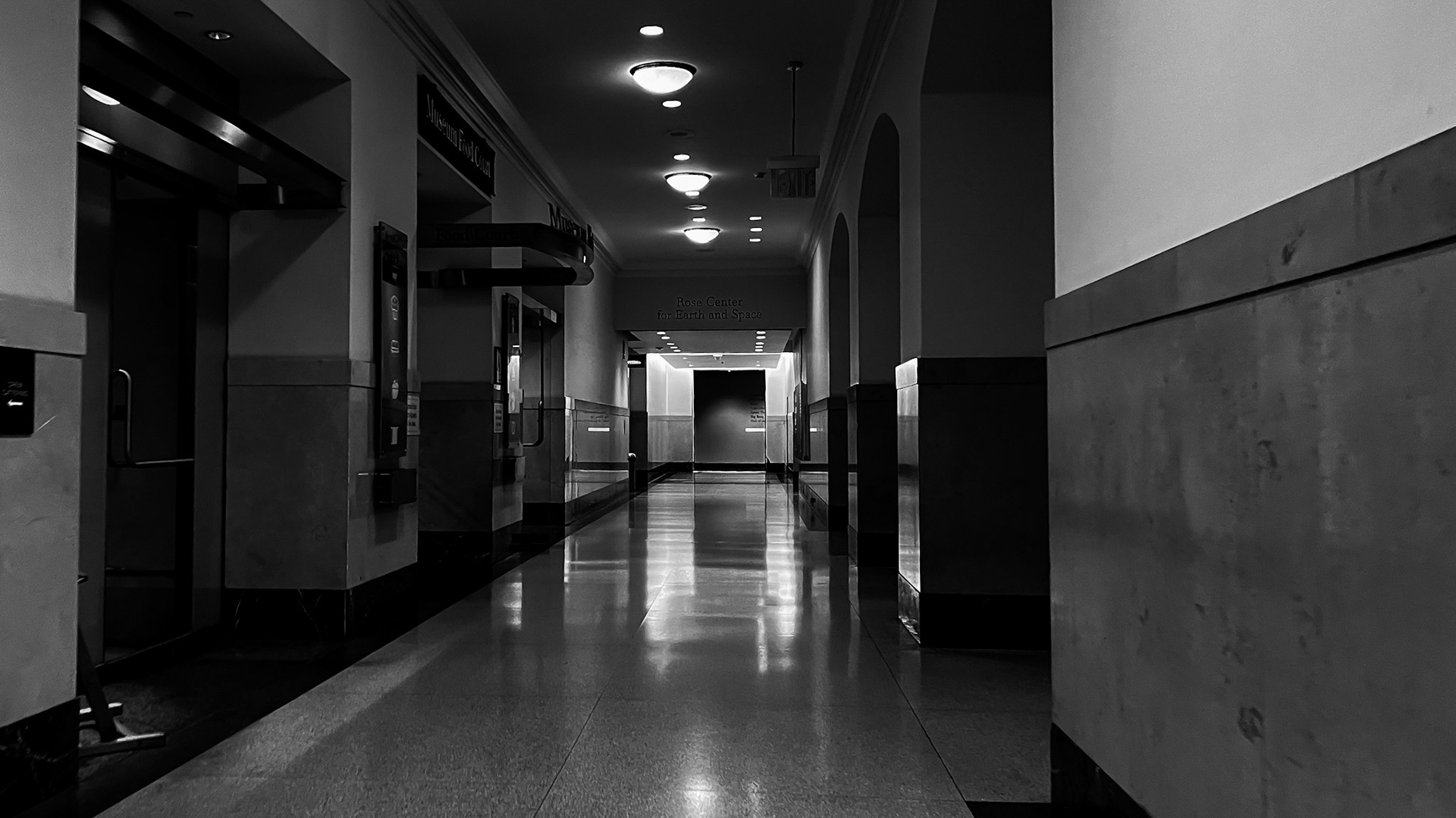 American Museum of Natural History