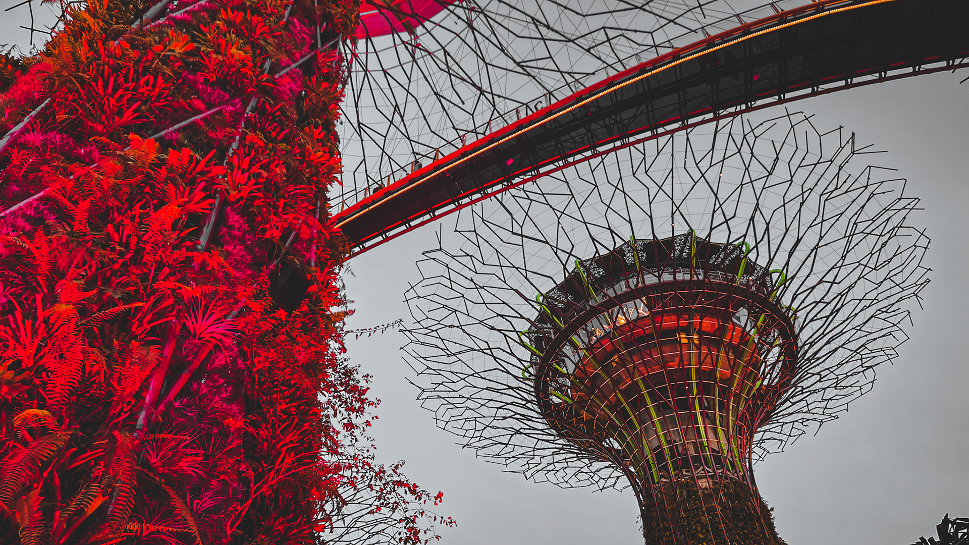 Gardens by the Bay
