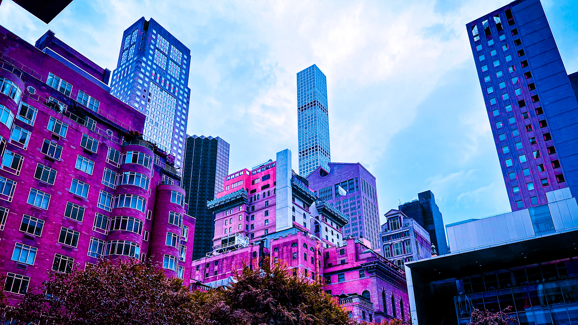 MoMA The Museum of Modern Art