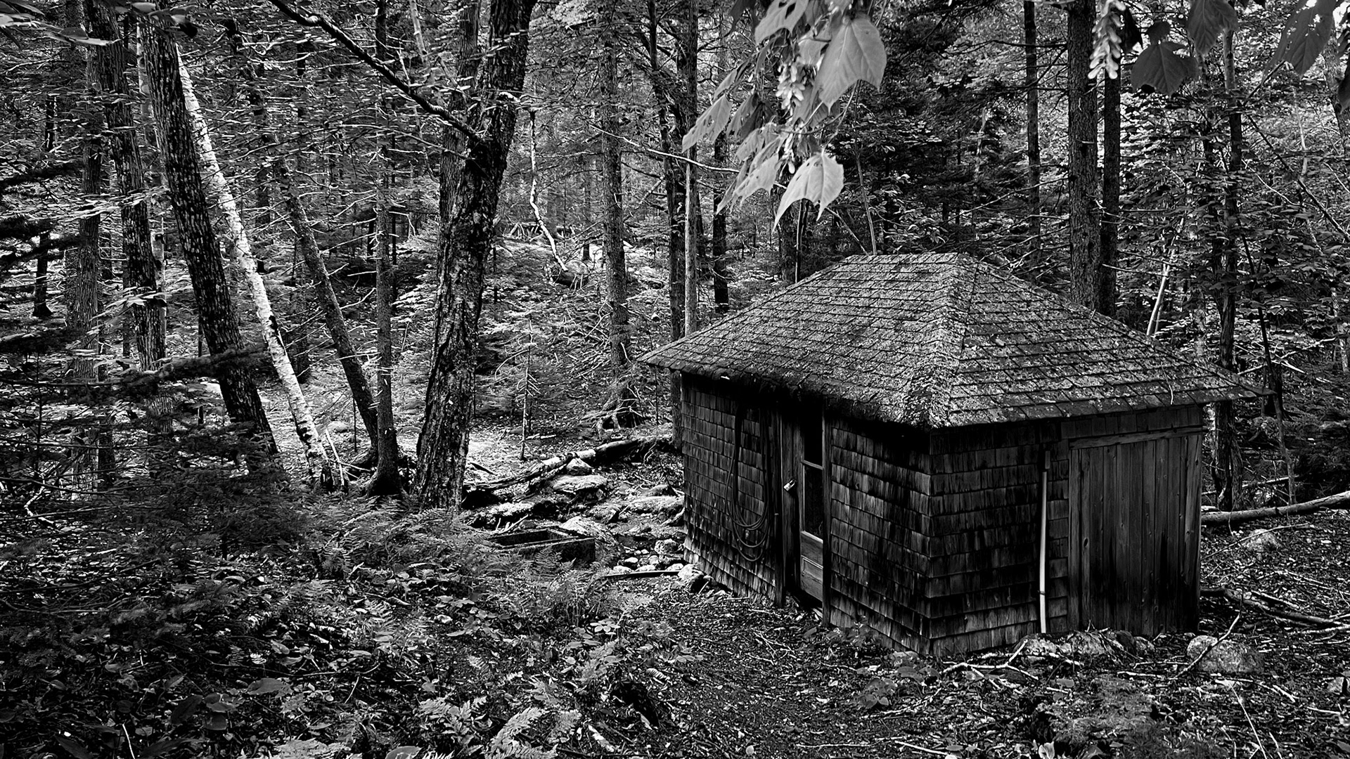 Acadia National Park, Maine