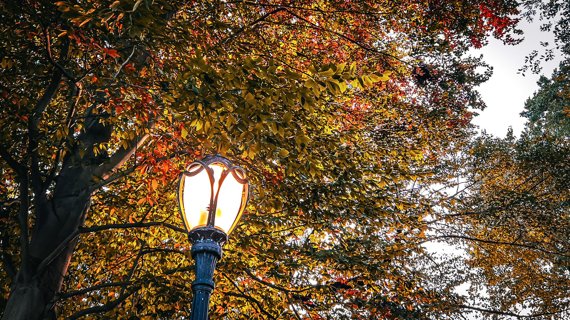Central Park, New York