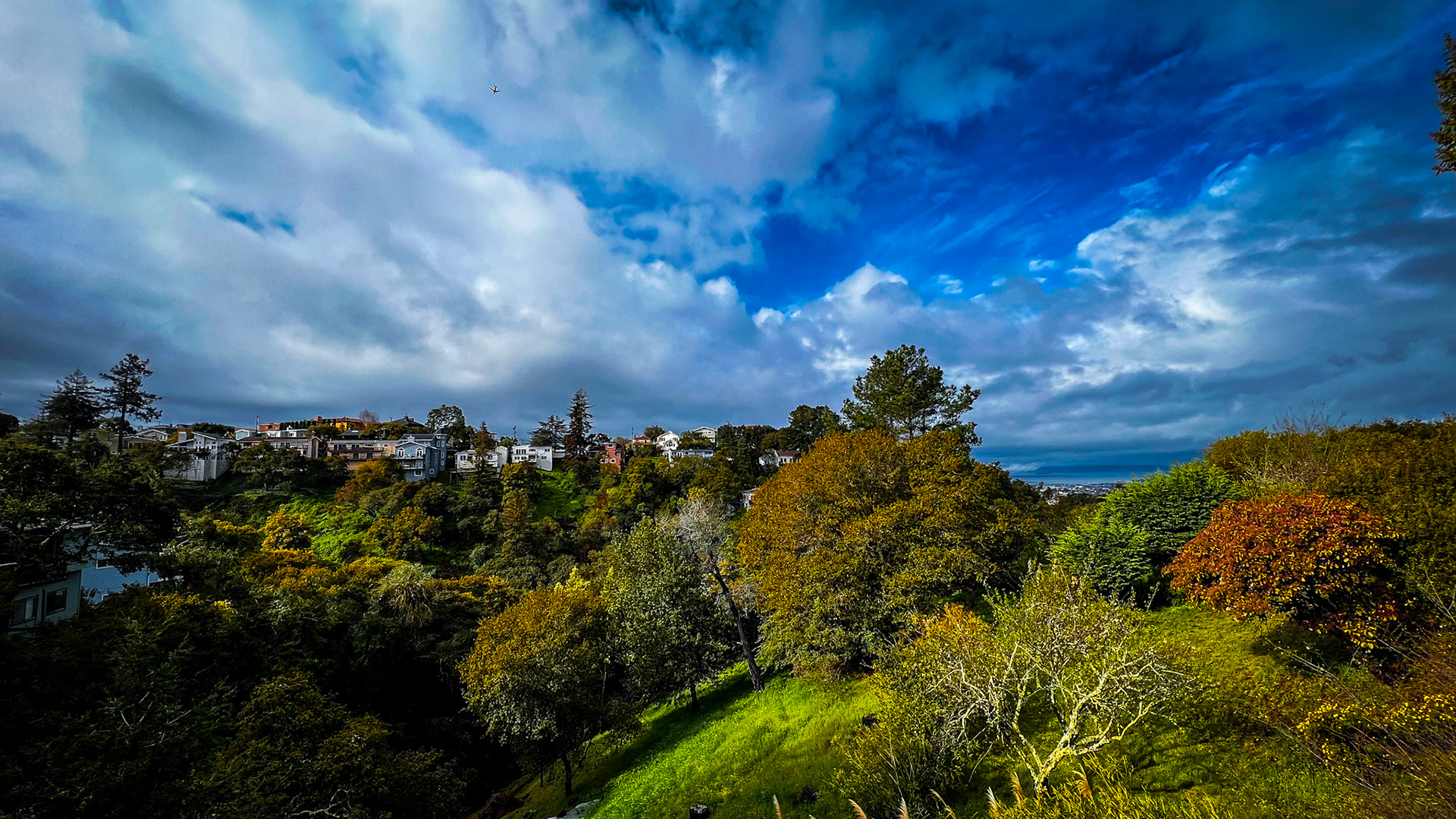 Piedmont, California