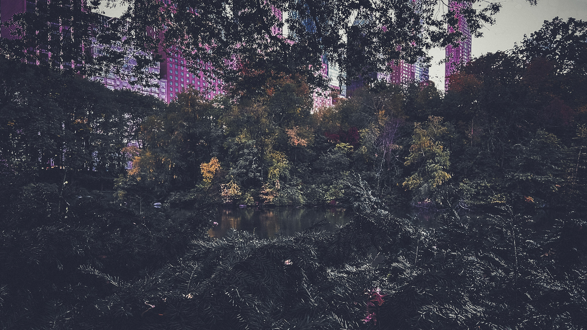 Central Park, New York