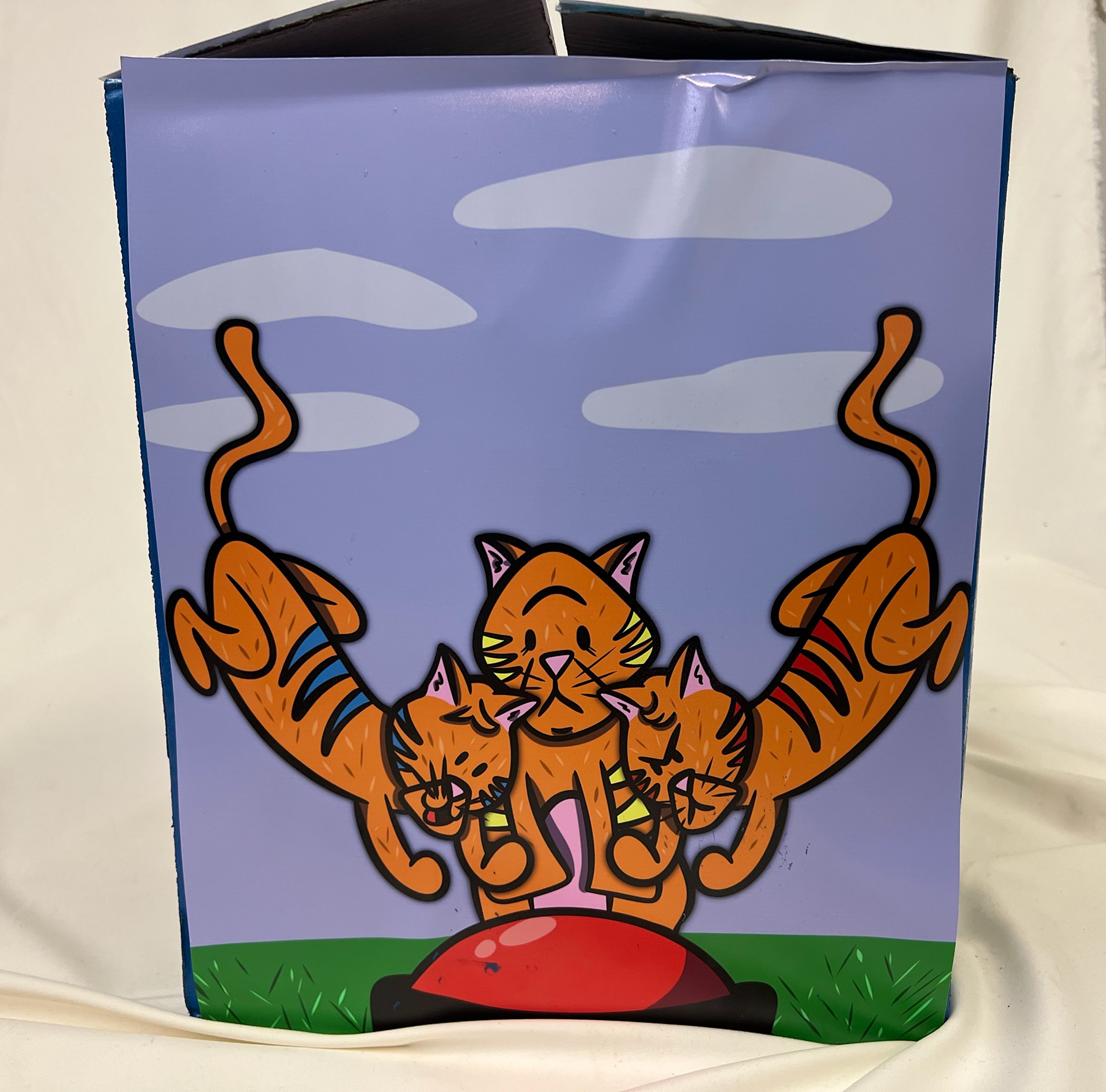 Side of the Packaging