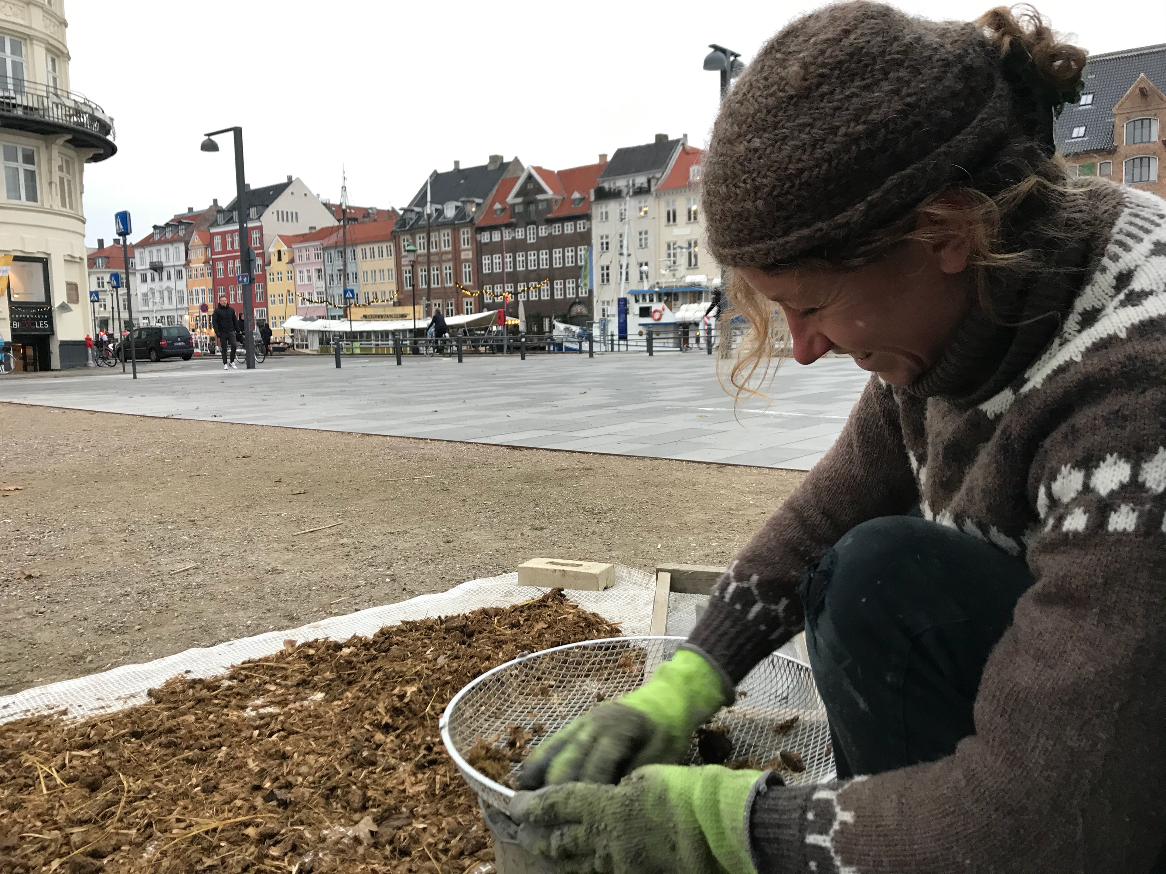 rasping horse manure