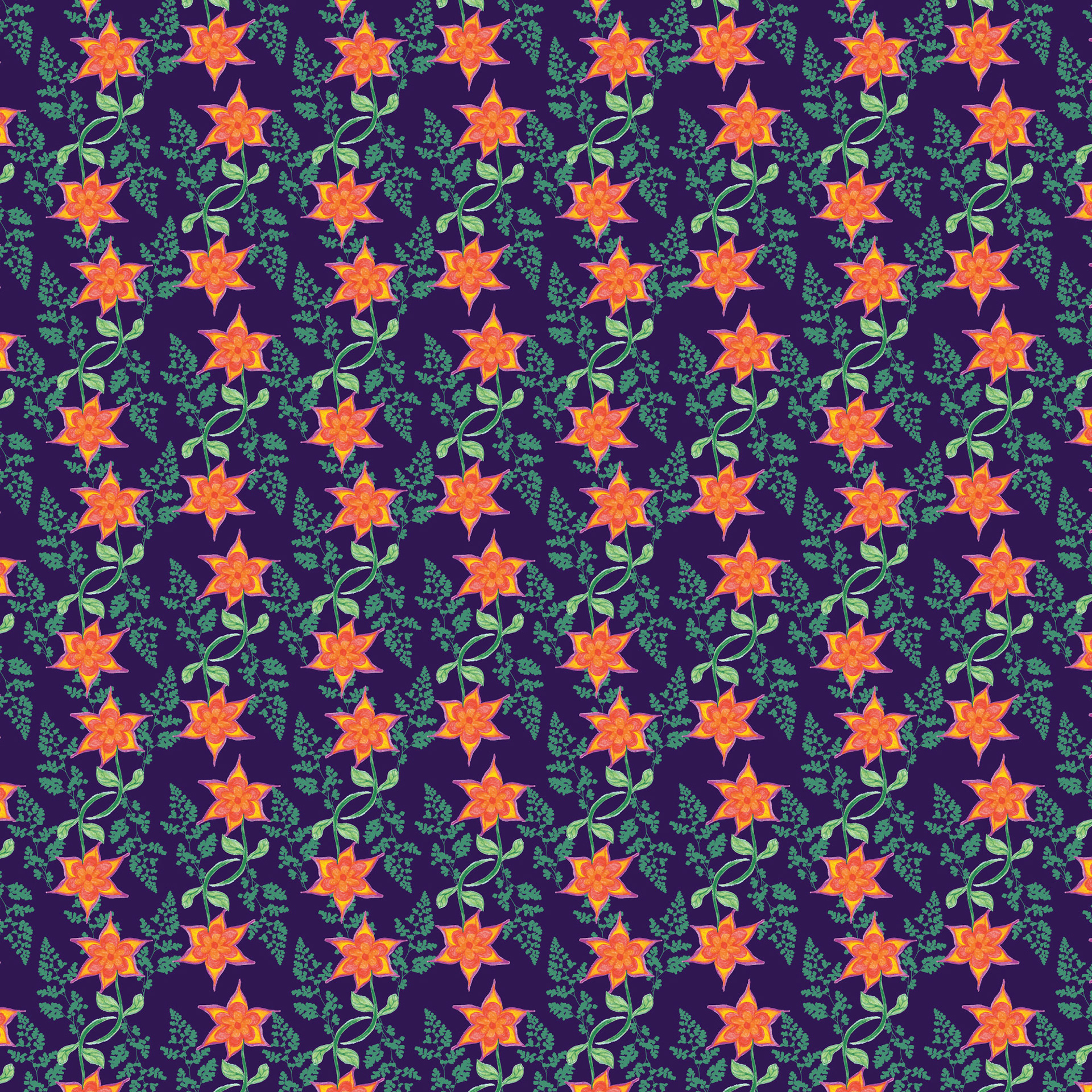 Star Fern Flowers