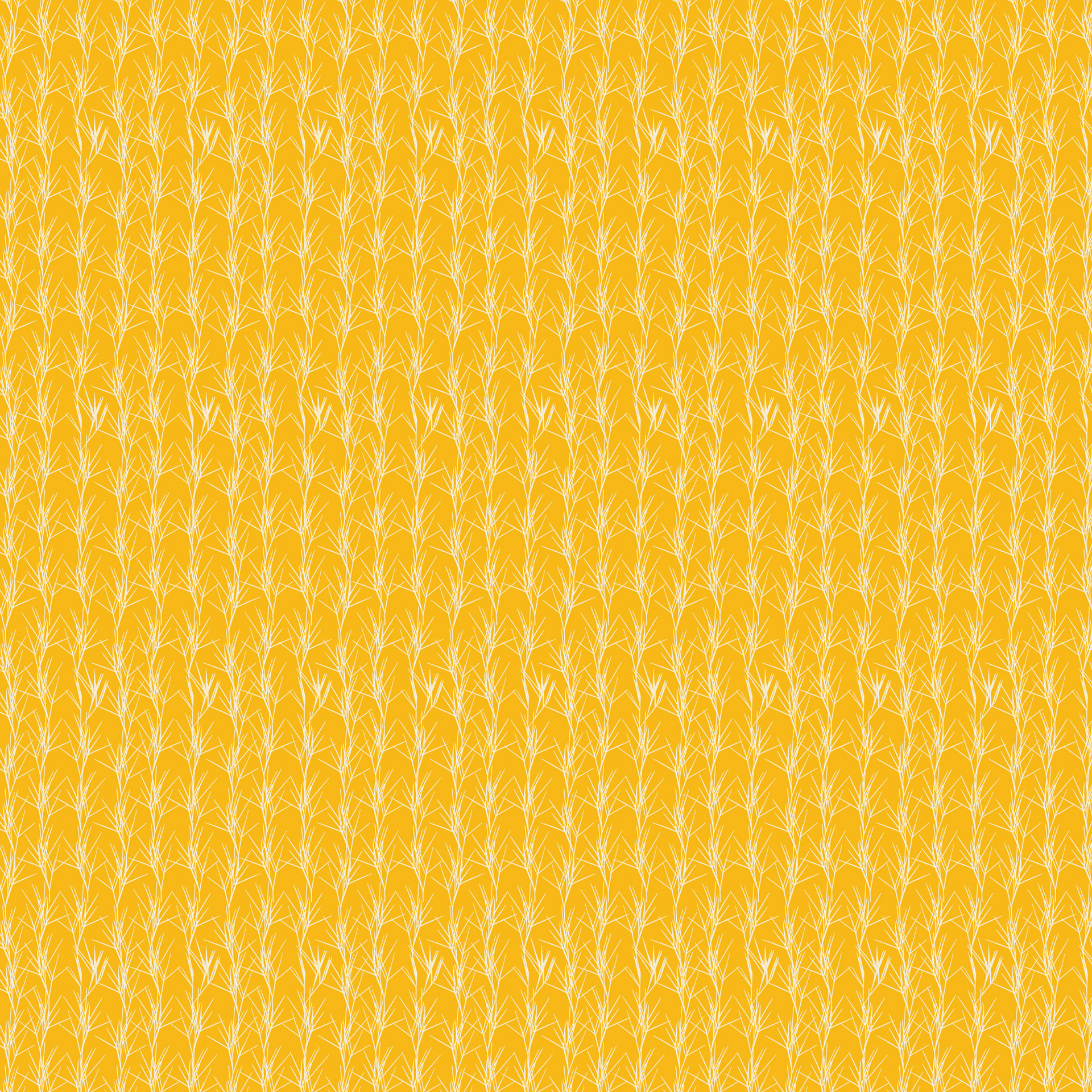 Fields Of Gold Dawn