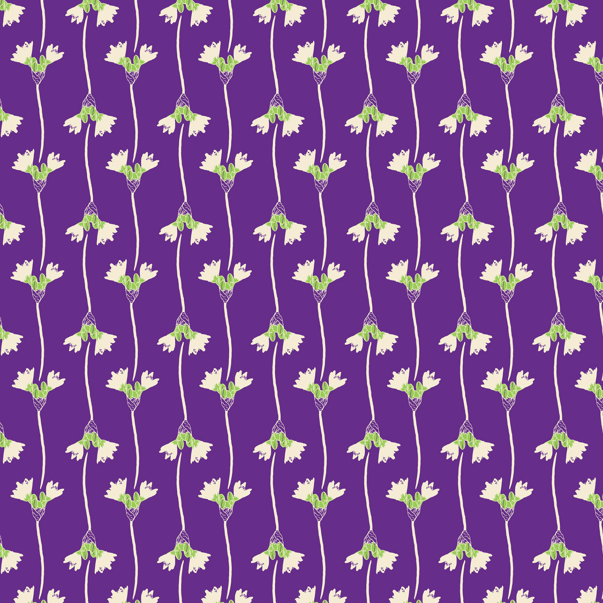 Wild Onion Dawn