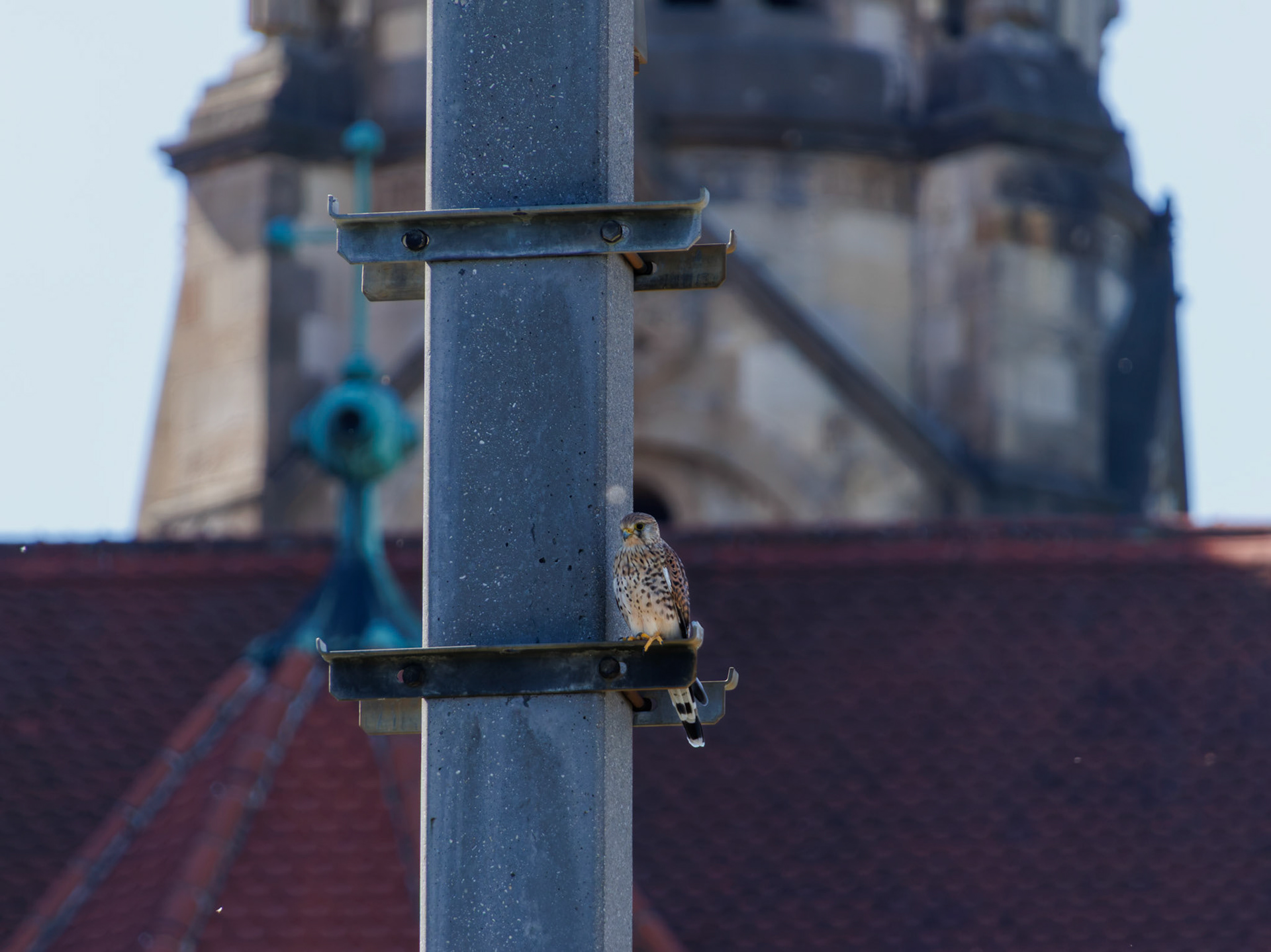 Street - Wien