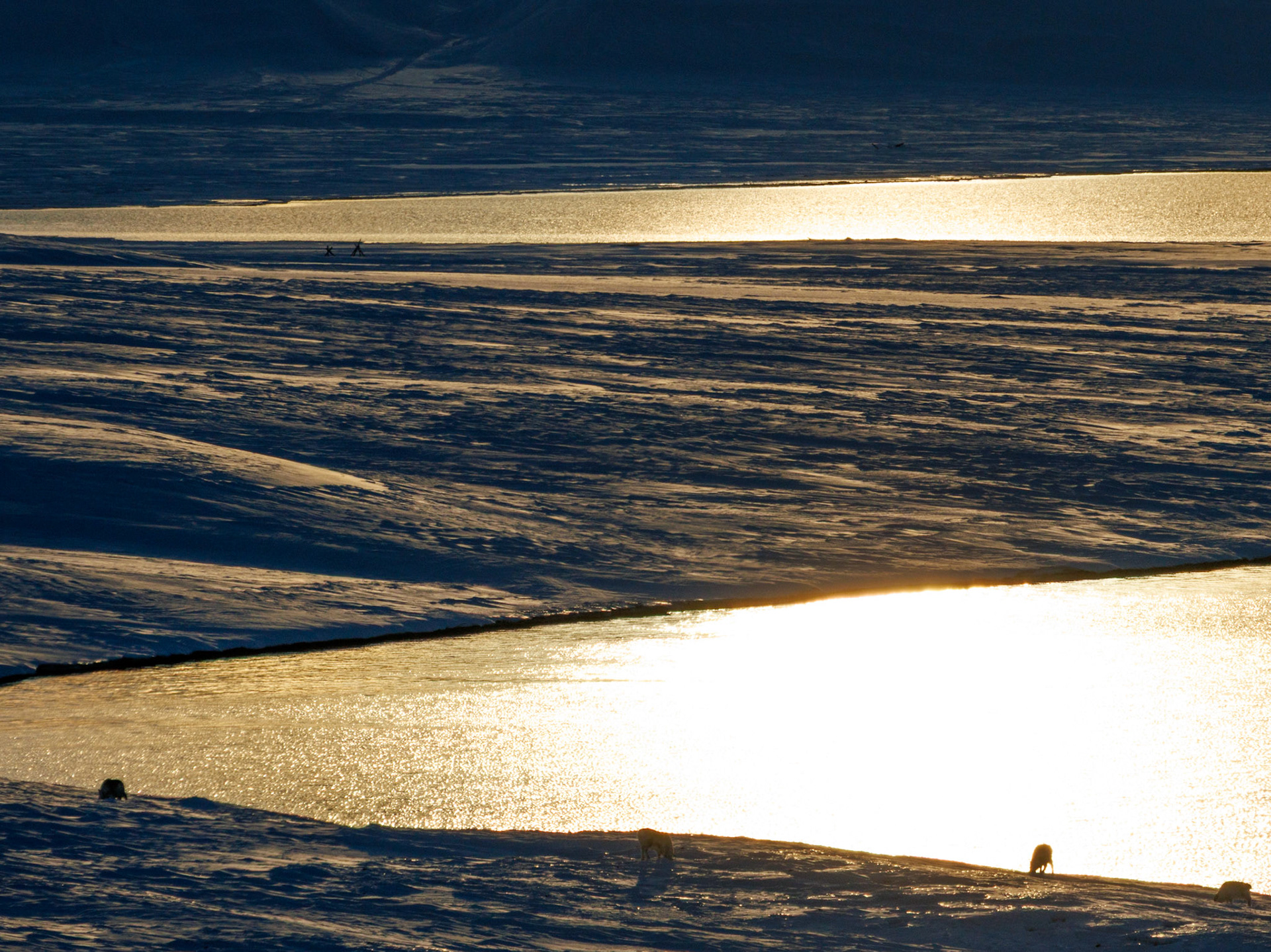 Weg nach Barentsburg