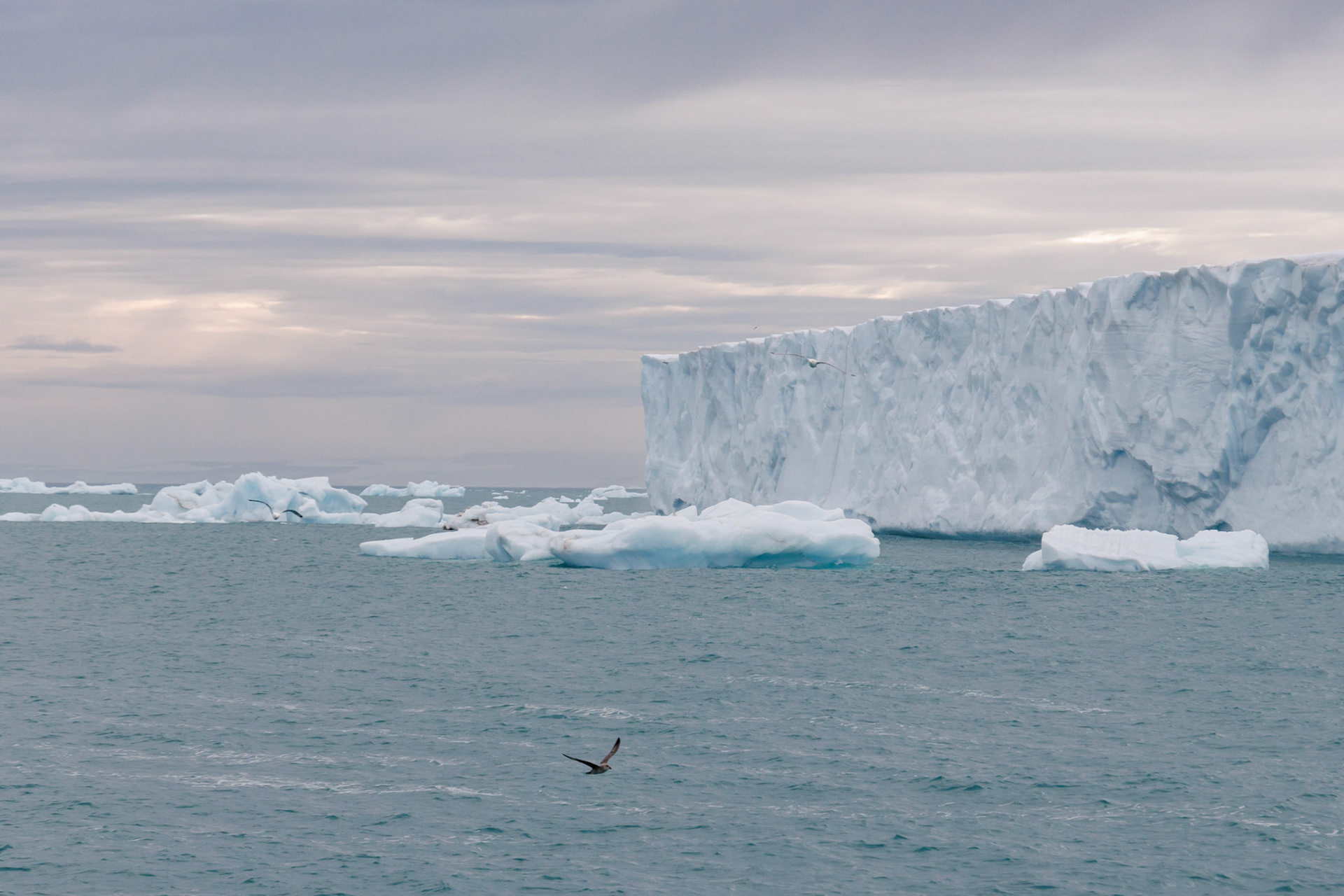 Bråsvell GletscherBråsvell Gletscher
