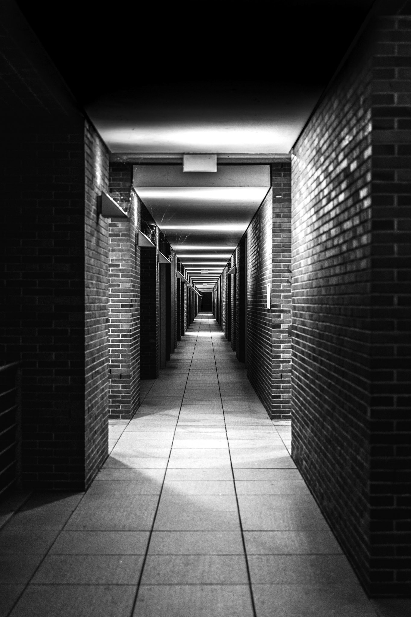 Street - Hamburg