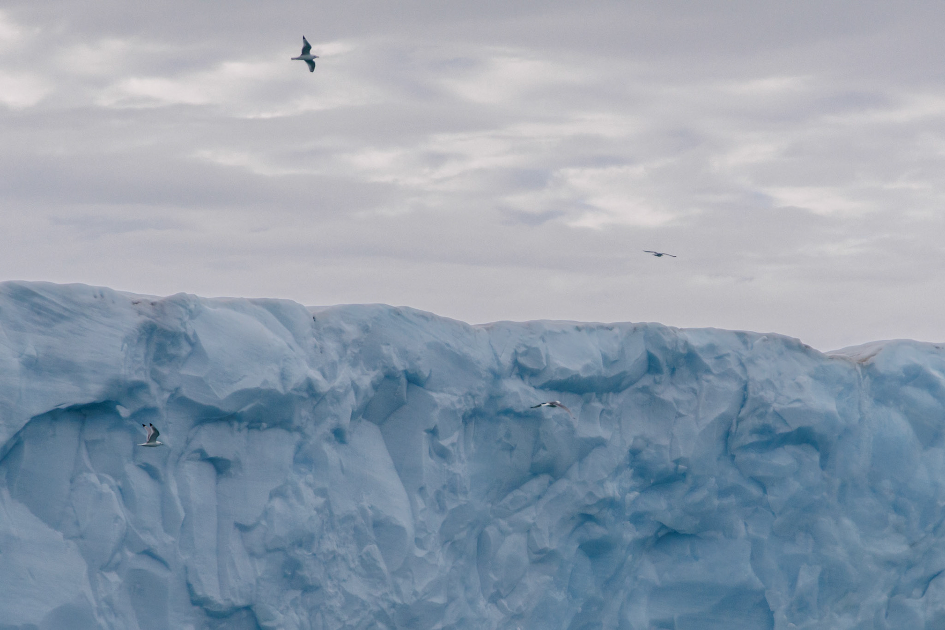 Bråsvell GletscherBråsvell Gletscher