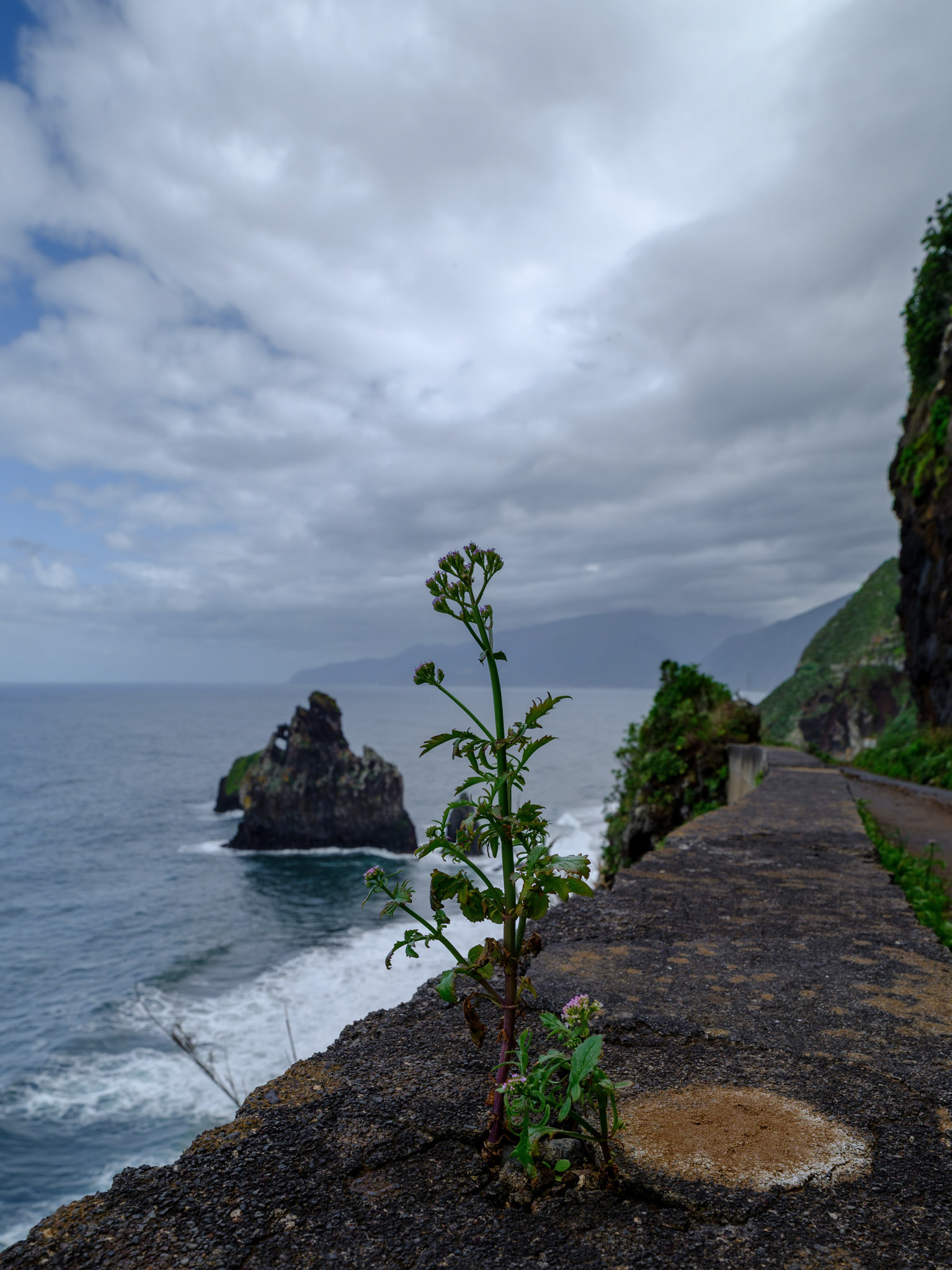Praia da Ribeira da Janela
