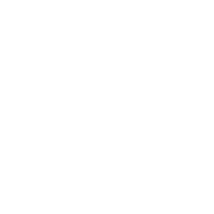 Cam Saspiturry