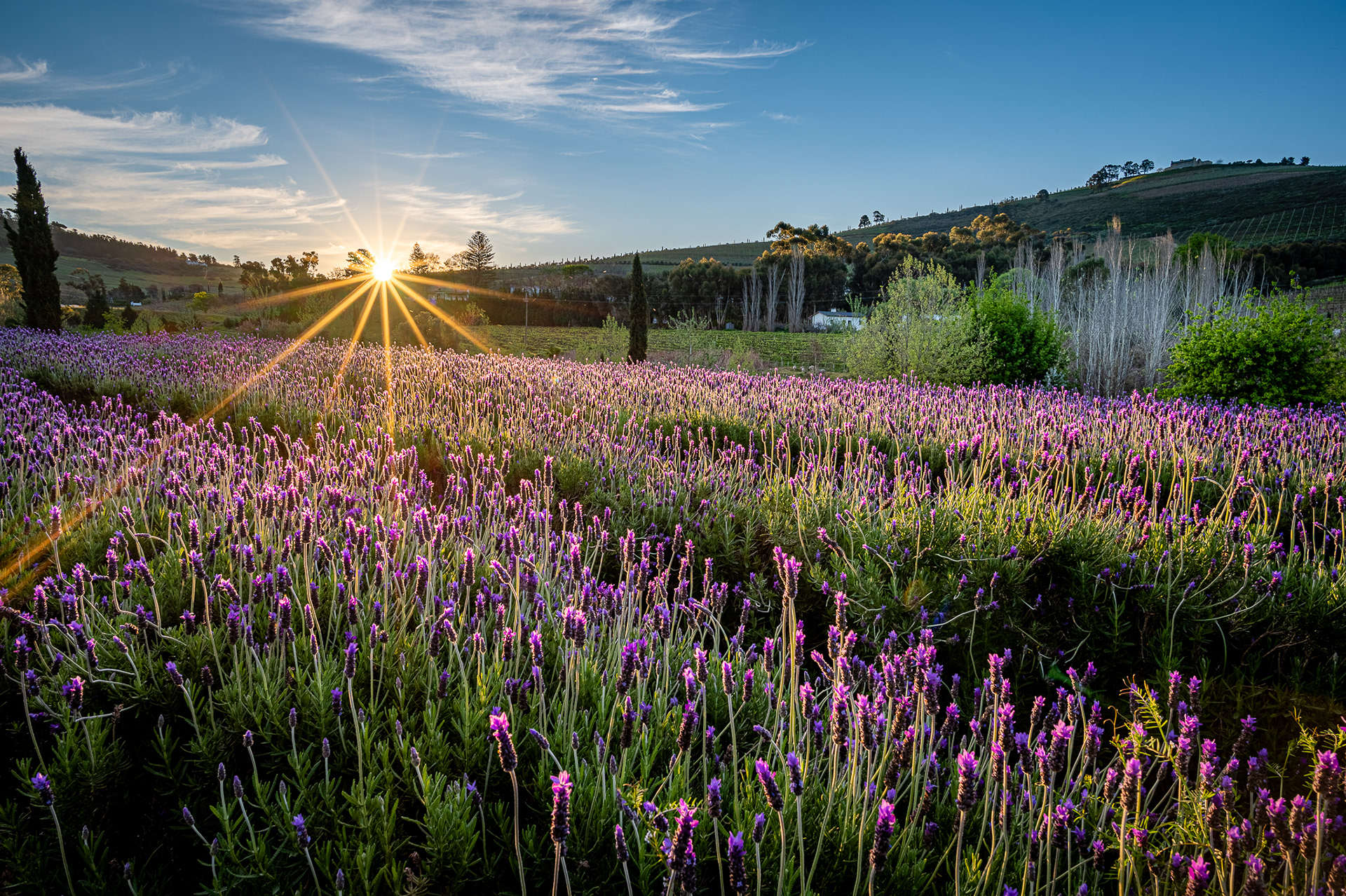 Western Cape, South Africa