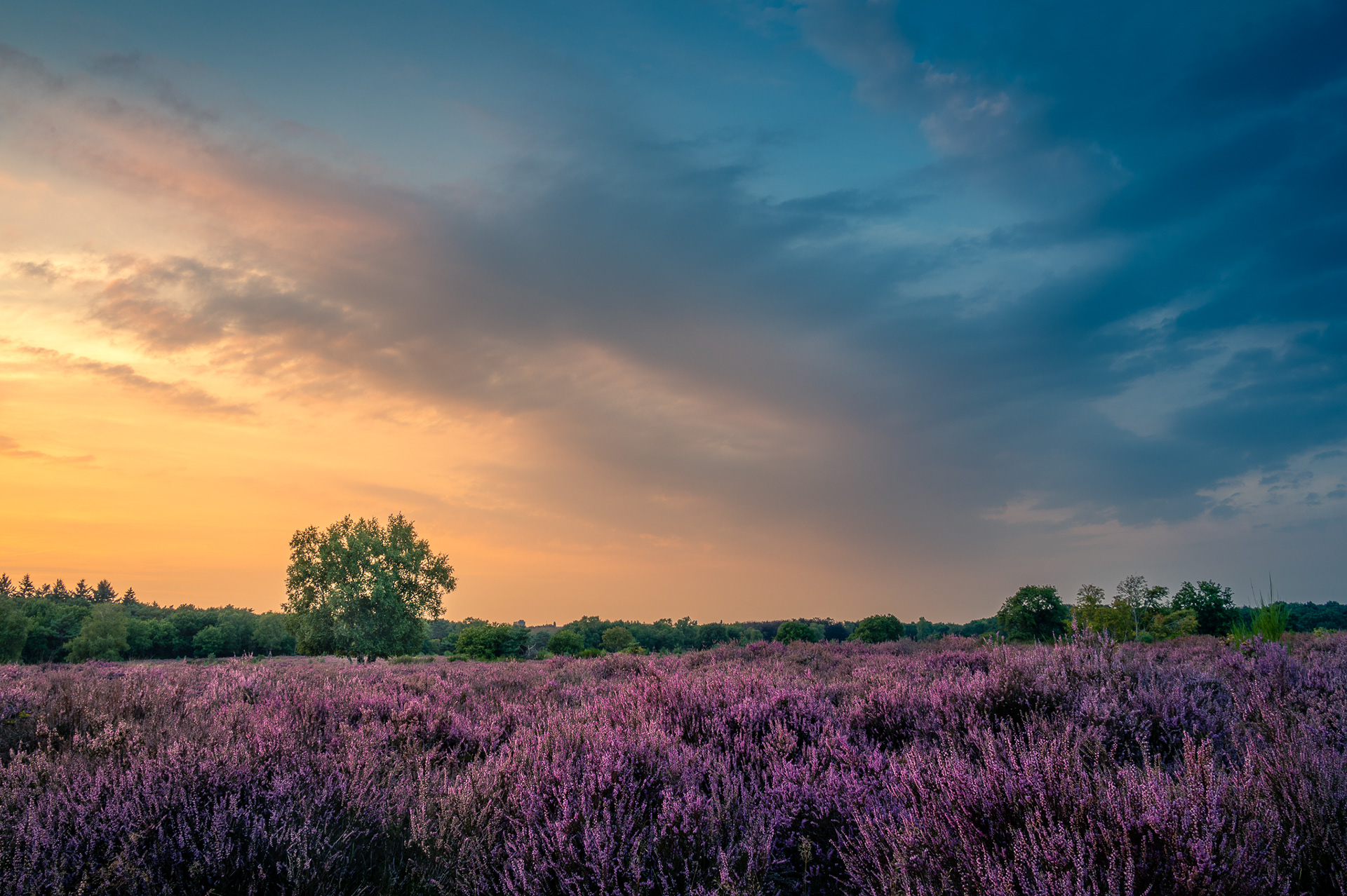 Hilversum, The Netherlands
