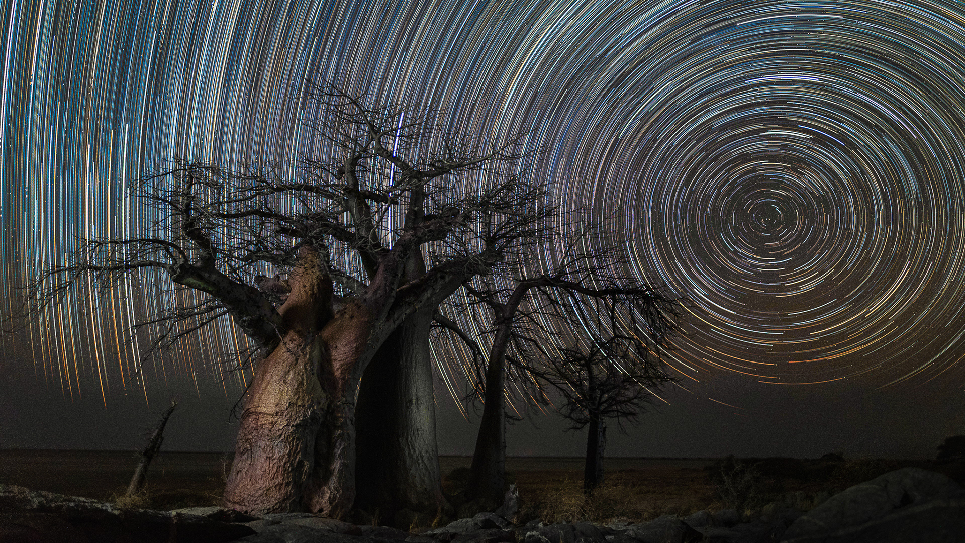 Kubu Island, Botswana
