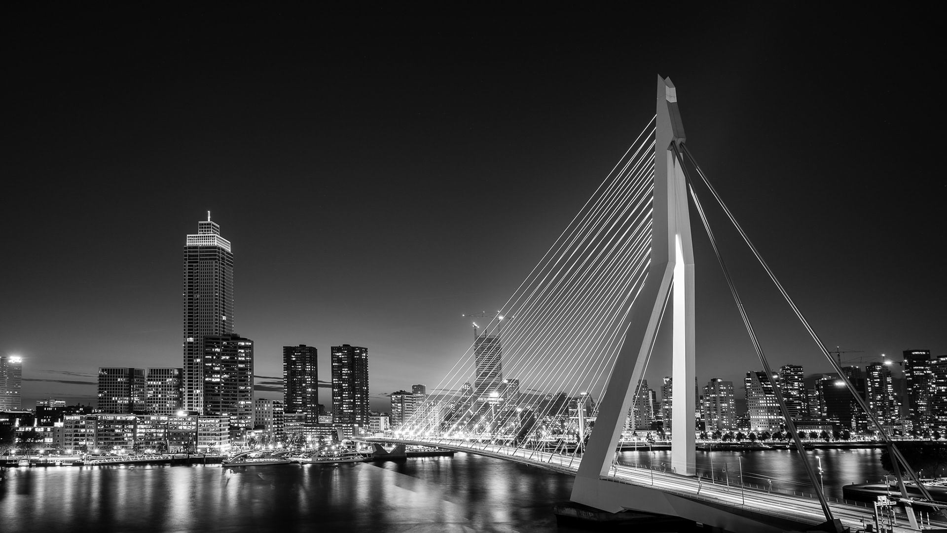 Erasmusbrug, Rotterdam