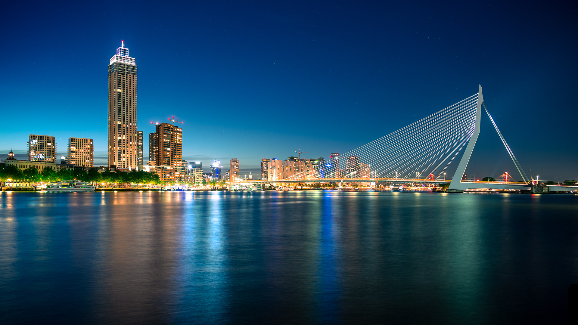 Erasmusbrug, Rotterdam