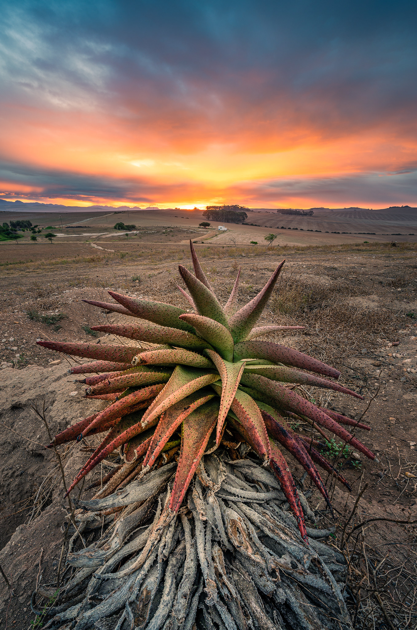 Overberg, South Africa
