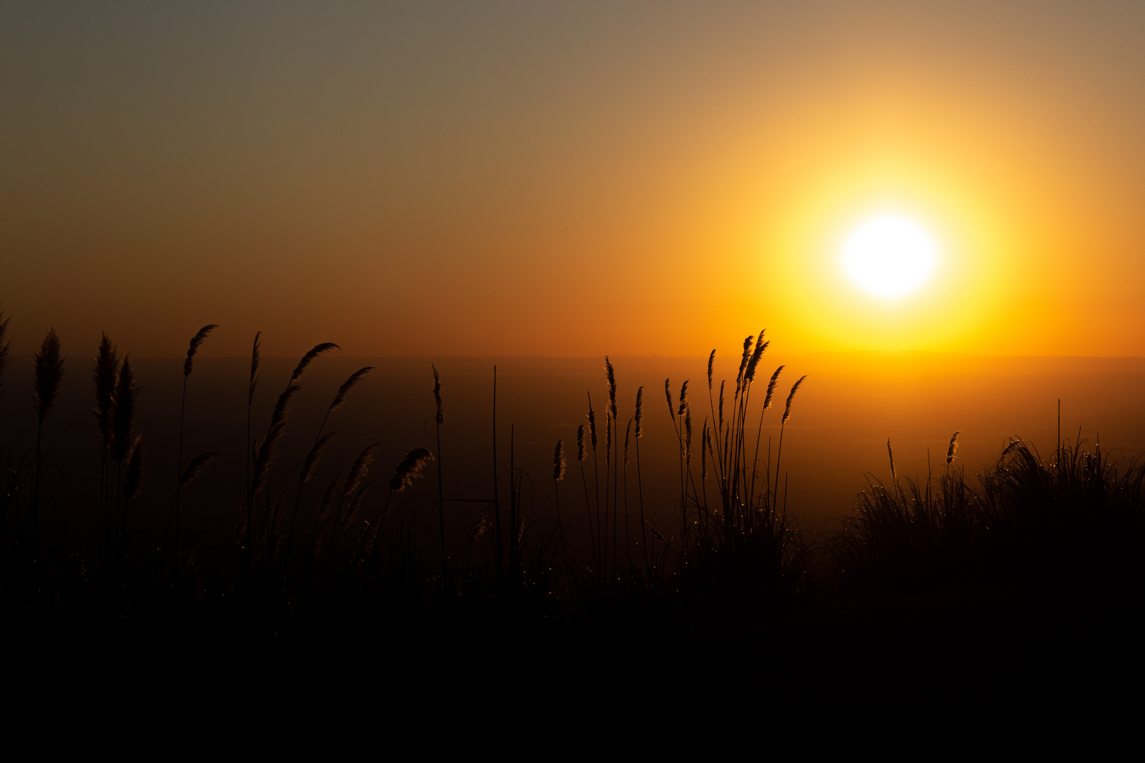 Villa de Merlo, San Luis, Argentina. 2020