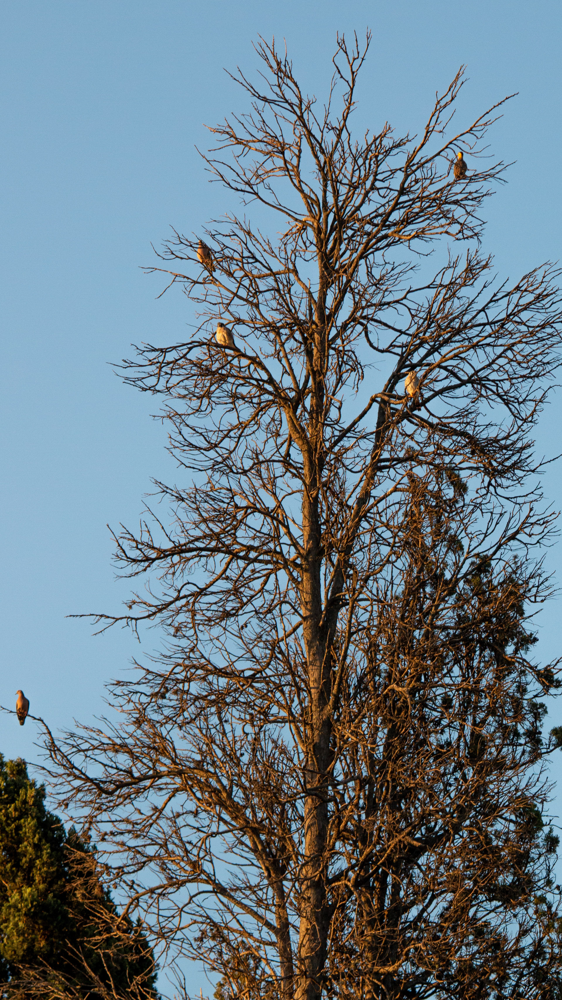 Los Polvorines, Buenos Aires, Argentina. 2023