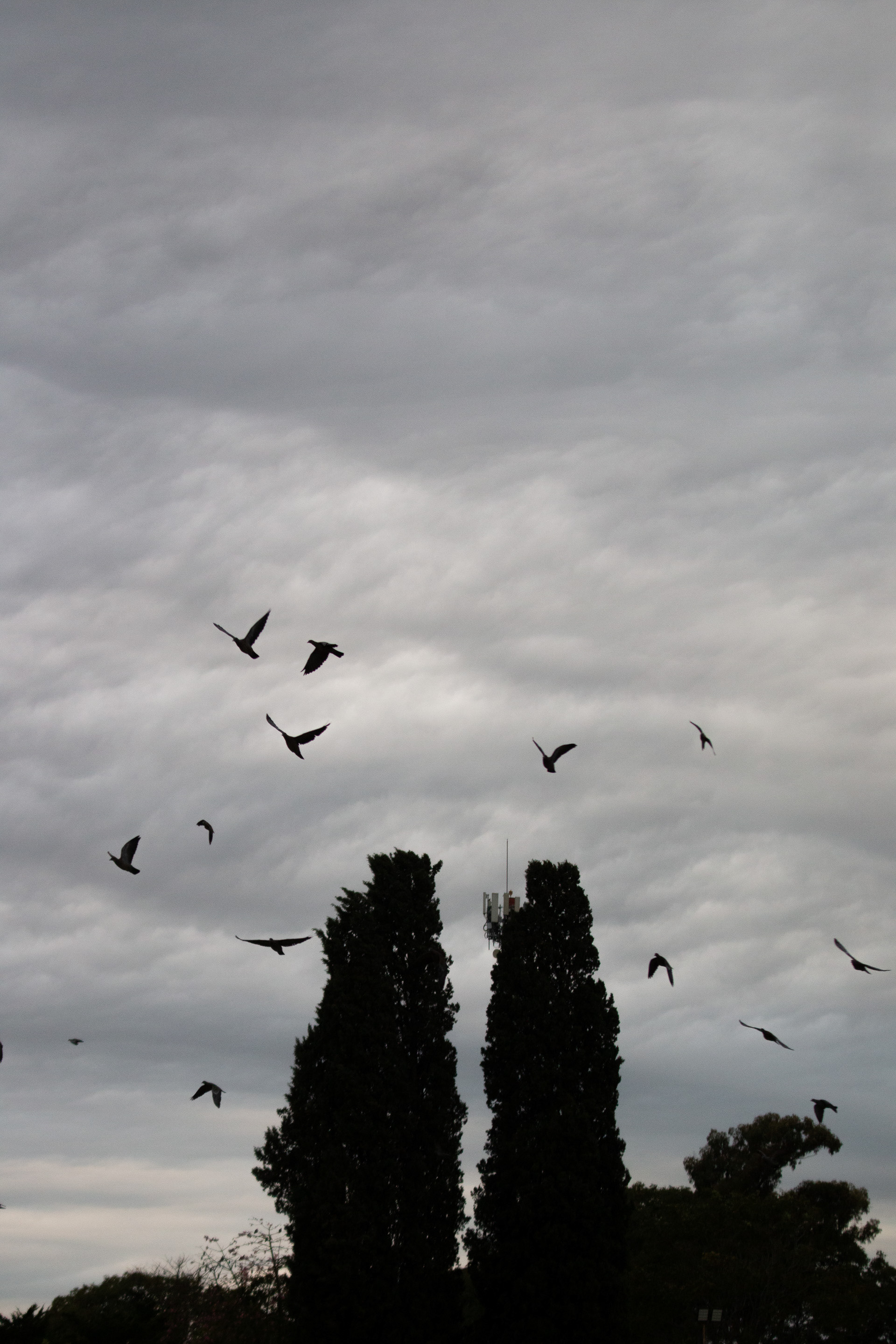 Los Polvorines, Buenos Aires, Argentina. 2023