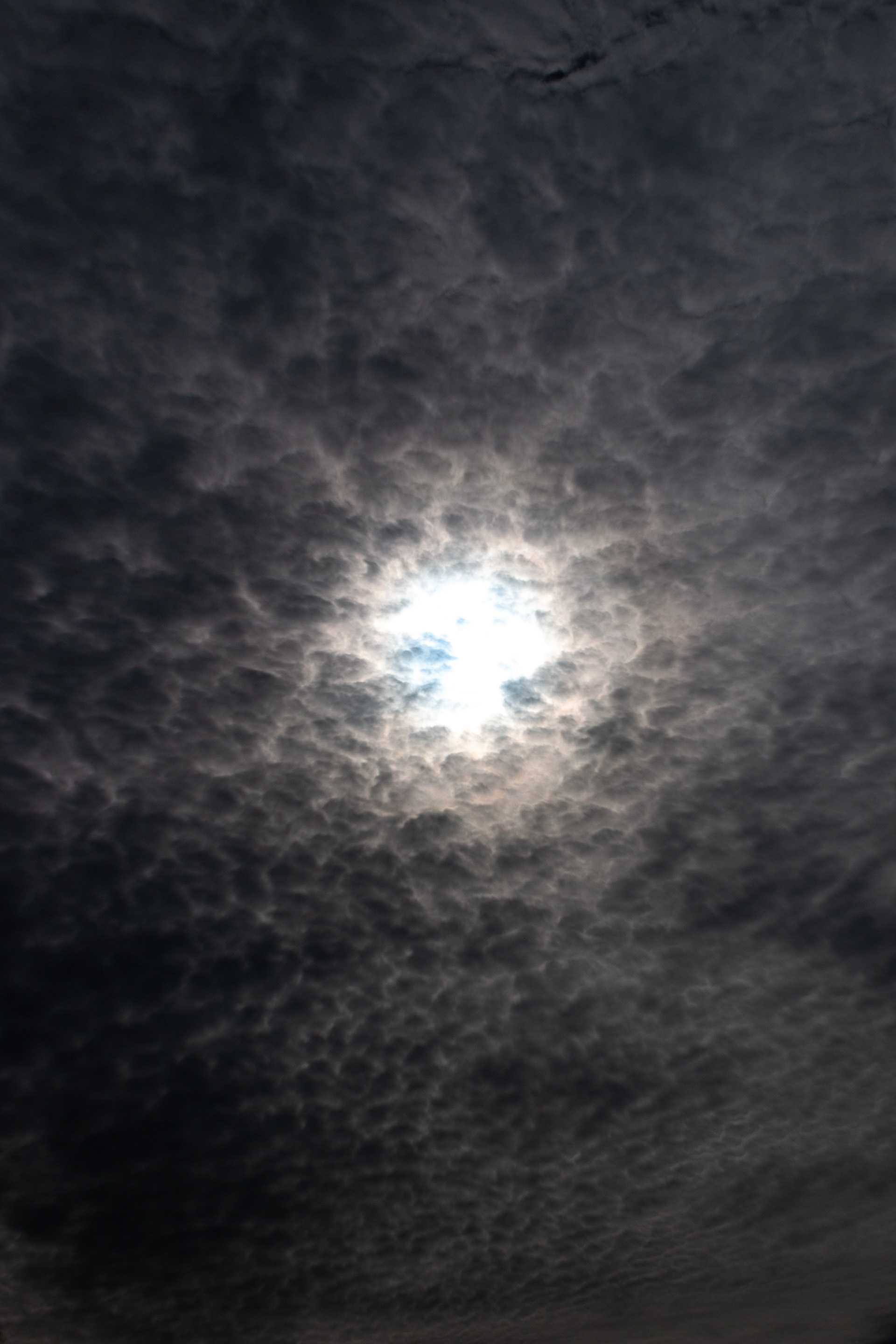 Los Polvorines, Buenos Aires, Argentina. 2023