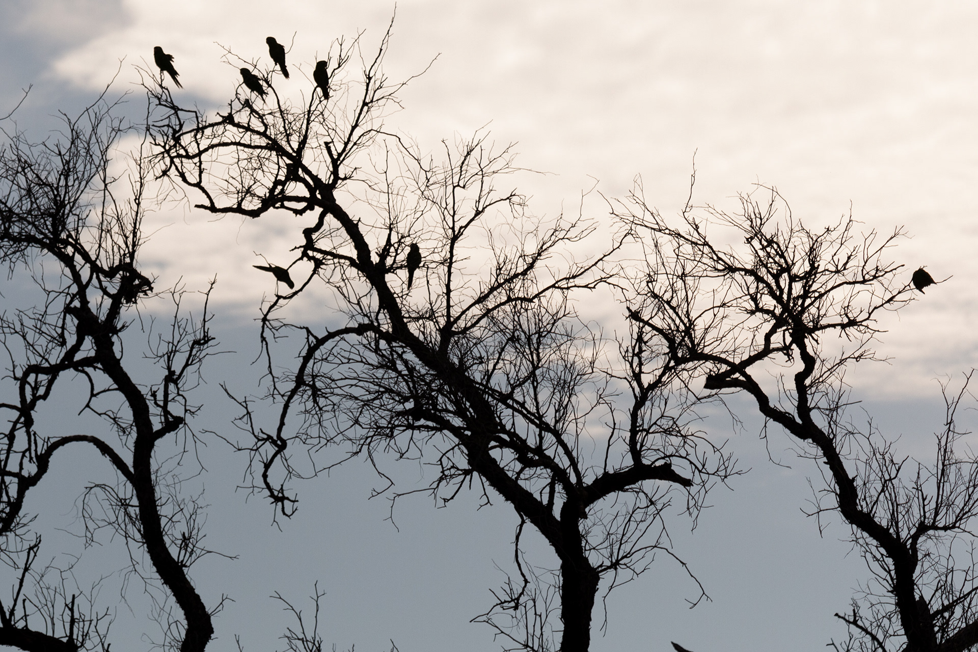 Los Polvorines, Buenos Aires, Argentina. 2023