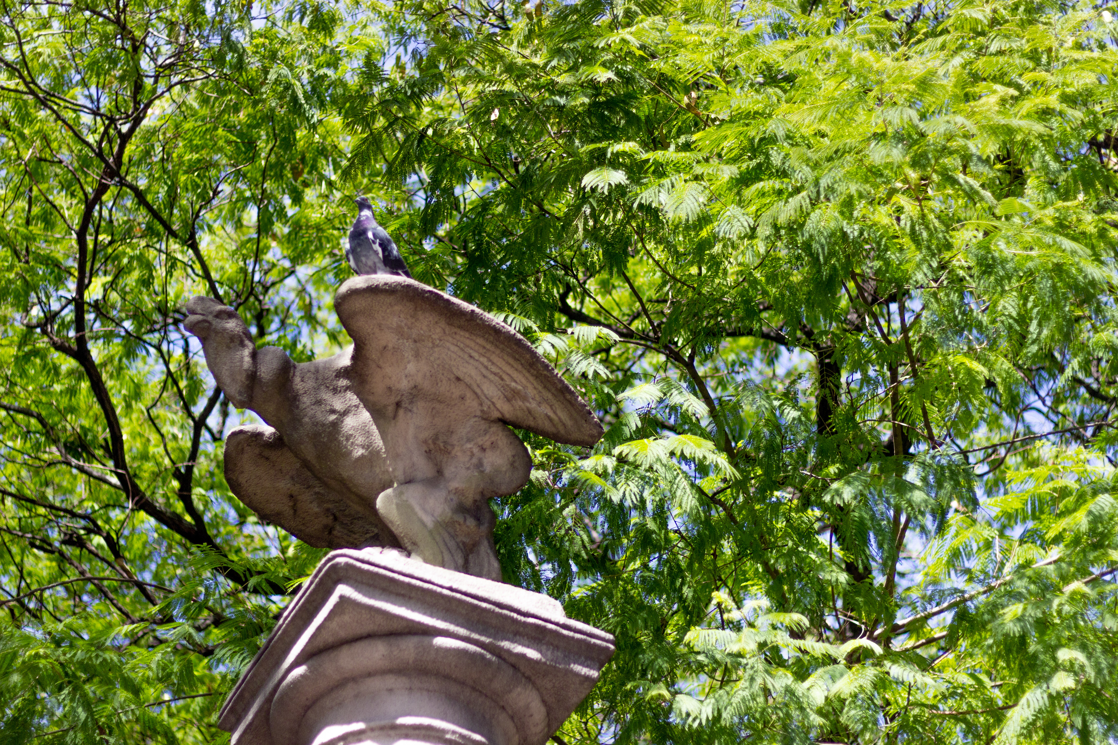 Ciudad Autónoma de Buenos Aires, Argentina. 2019