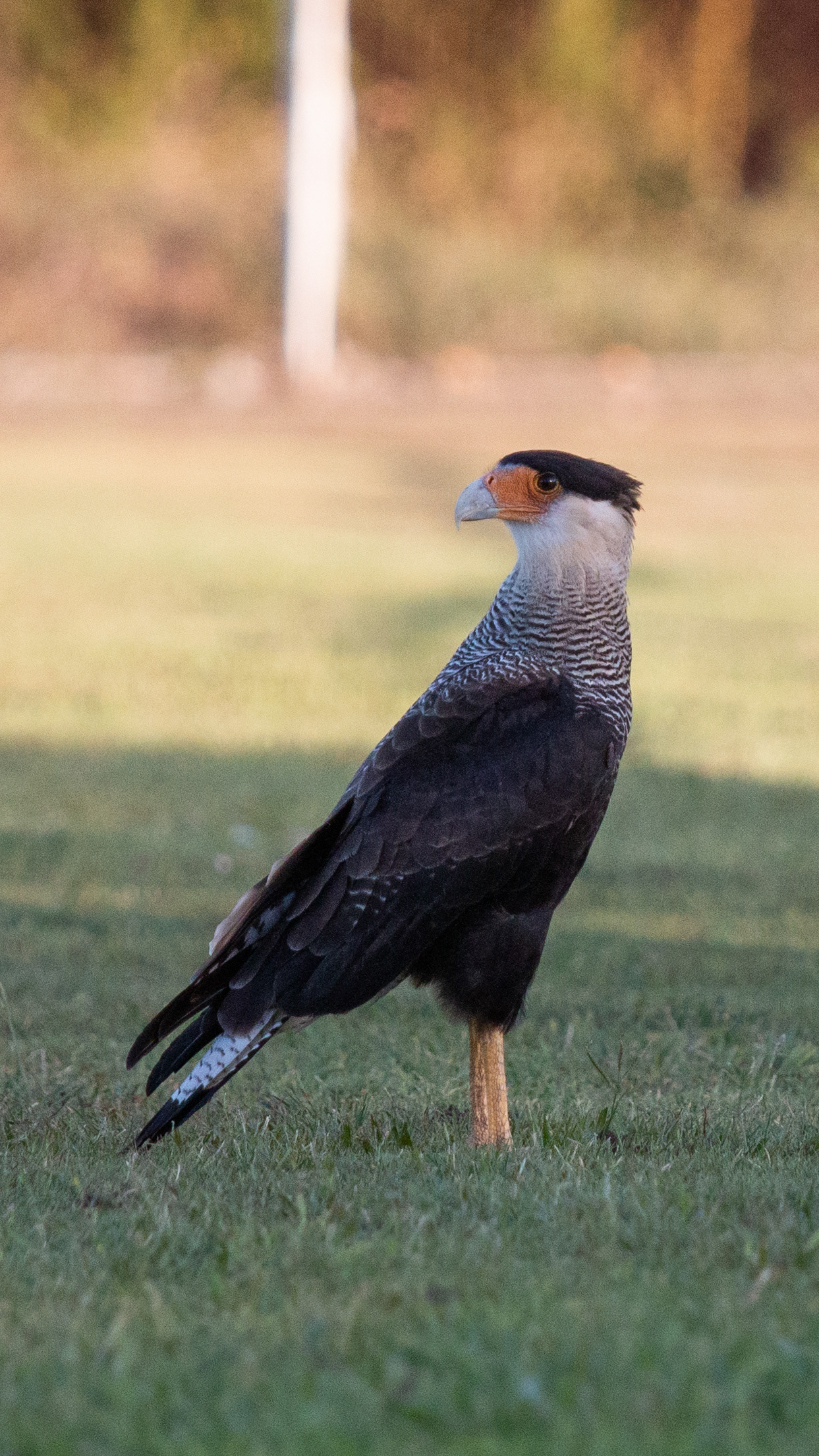 Los Polvorines, Buenos Aires, Argentina. 2023
