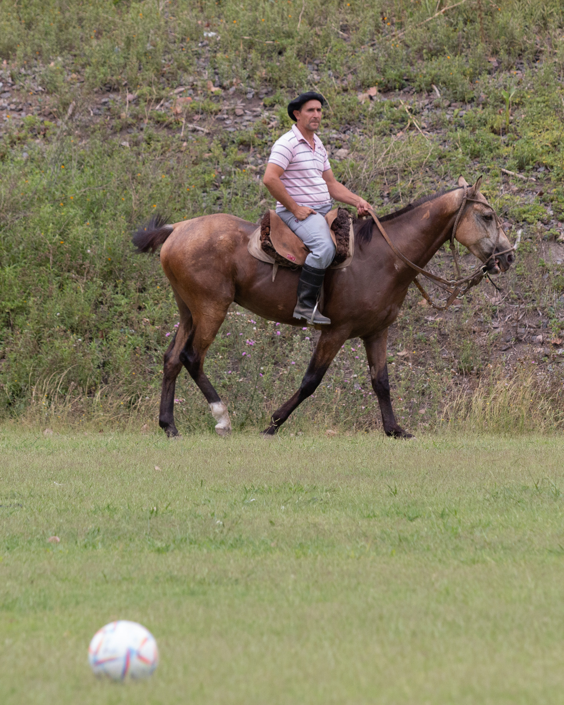 Bella Vista, Buenos Aires, Argentina. 2023