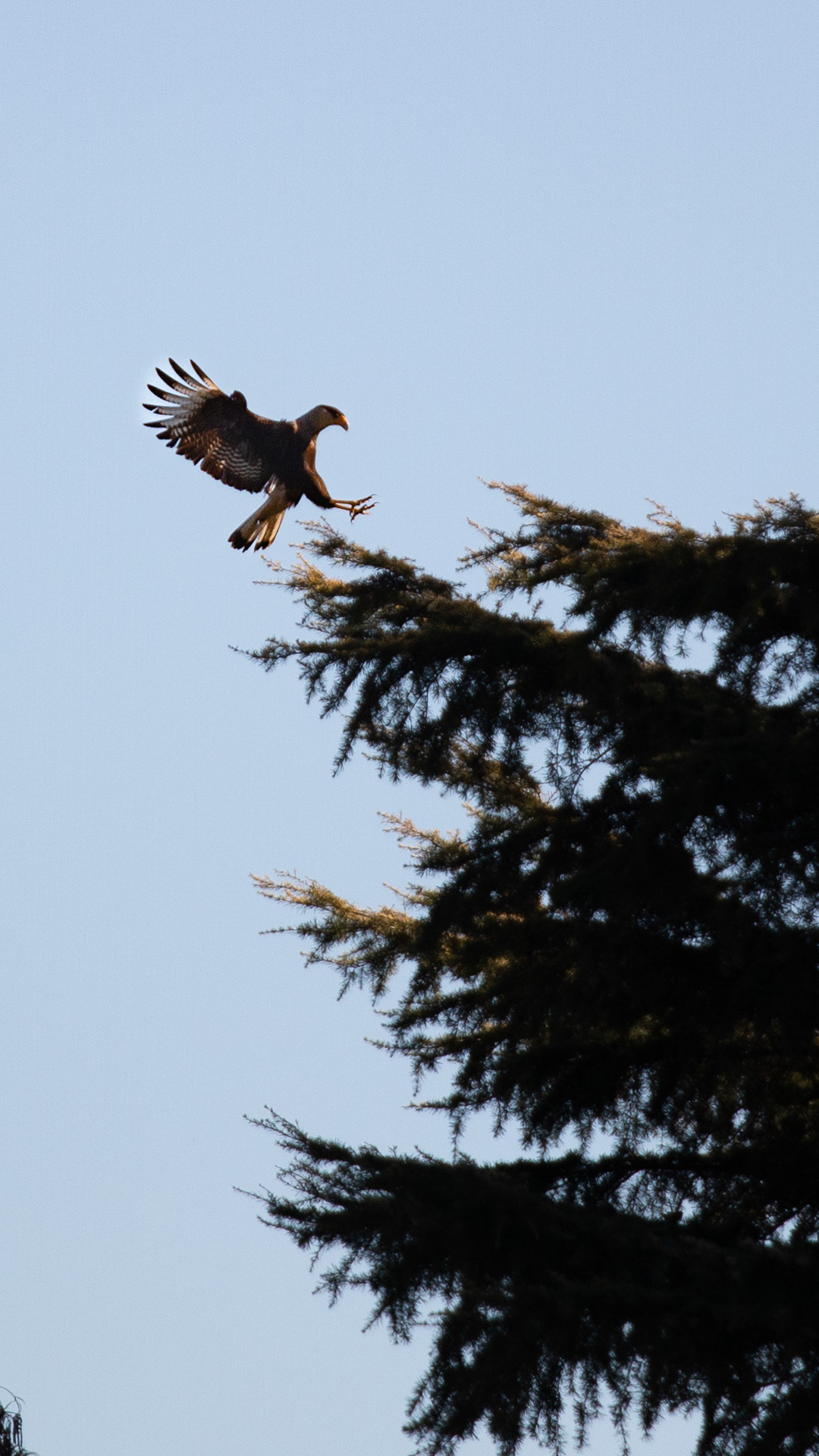 Los Polvorines, Buenos Aires, Argentina. 2023