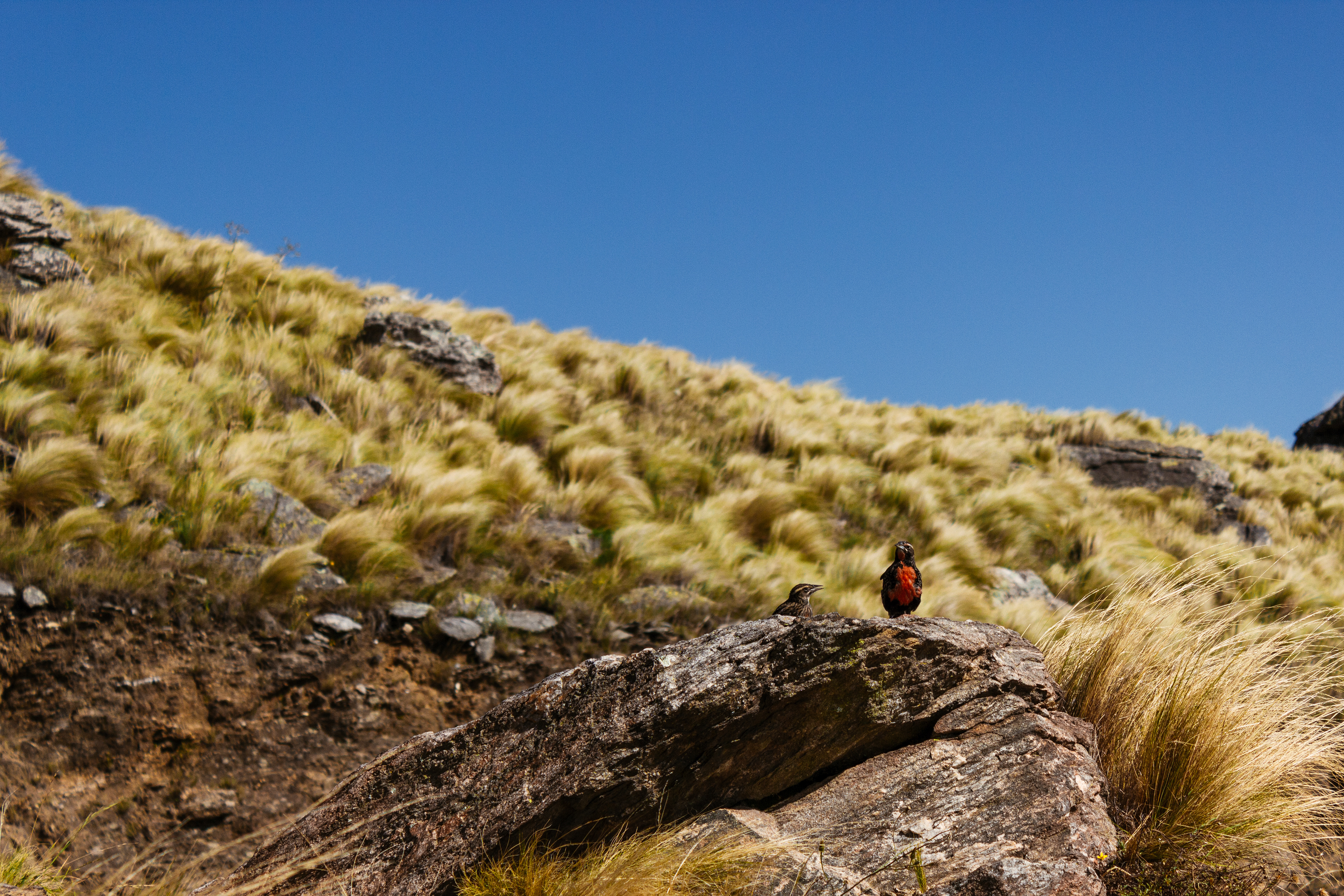 Villa de Merlo, San Luis, Argentina. 2020