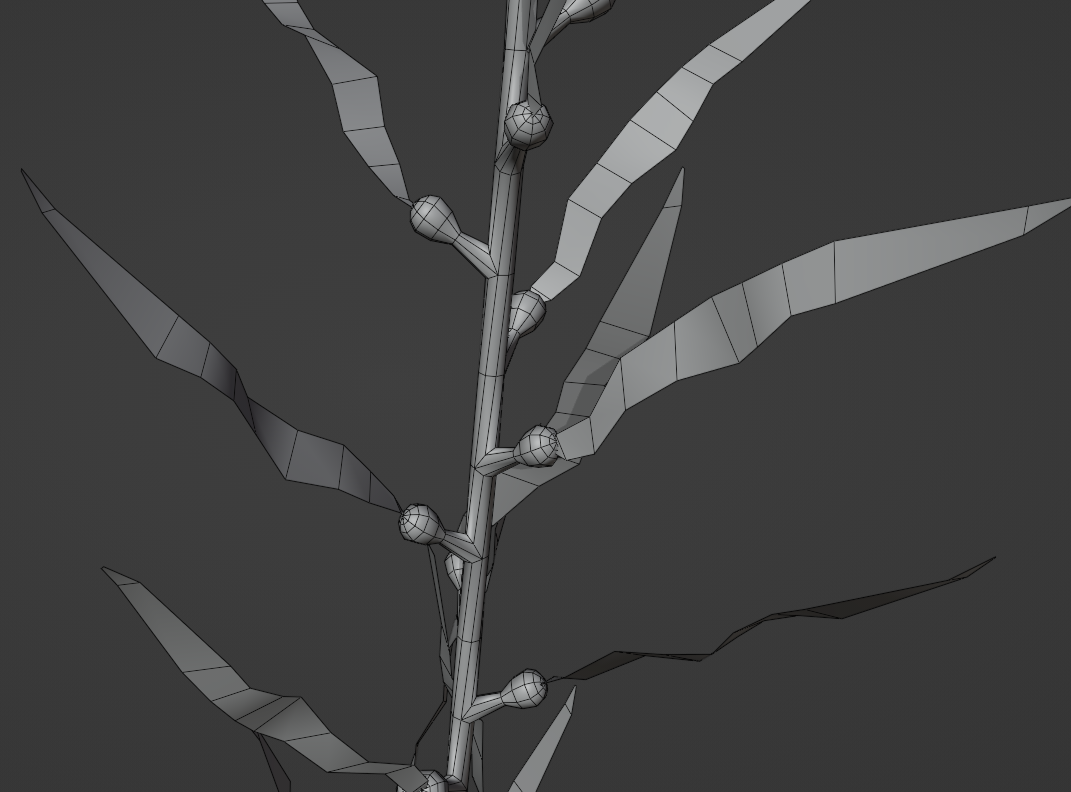 Kelp, scenic piece - Close