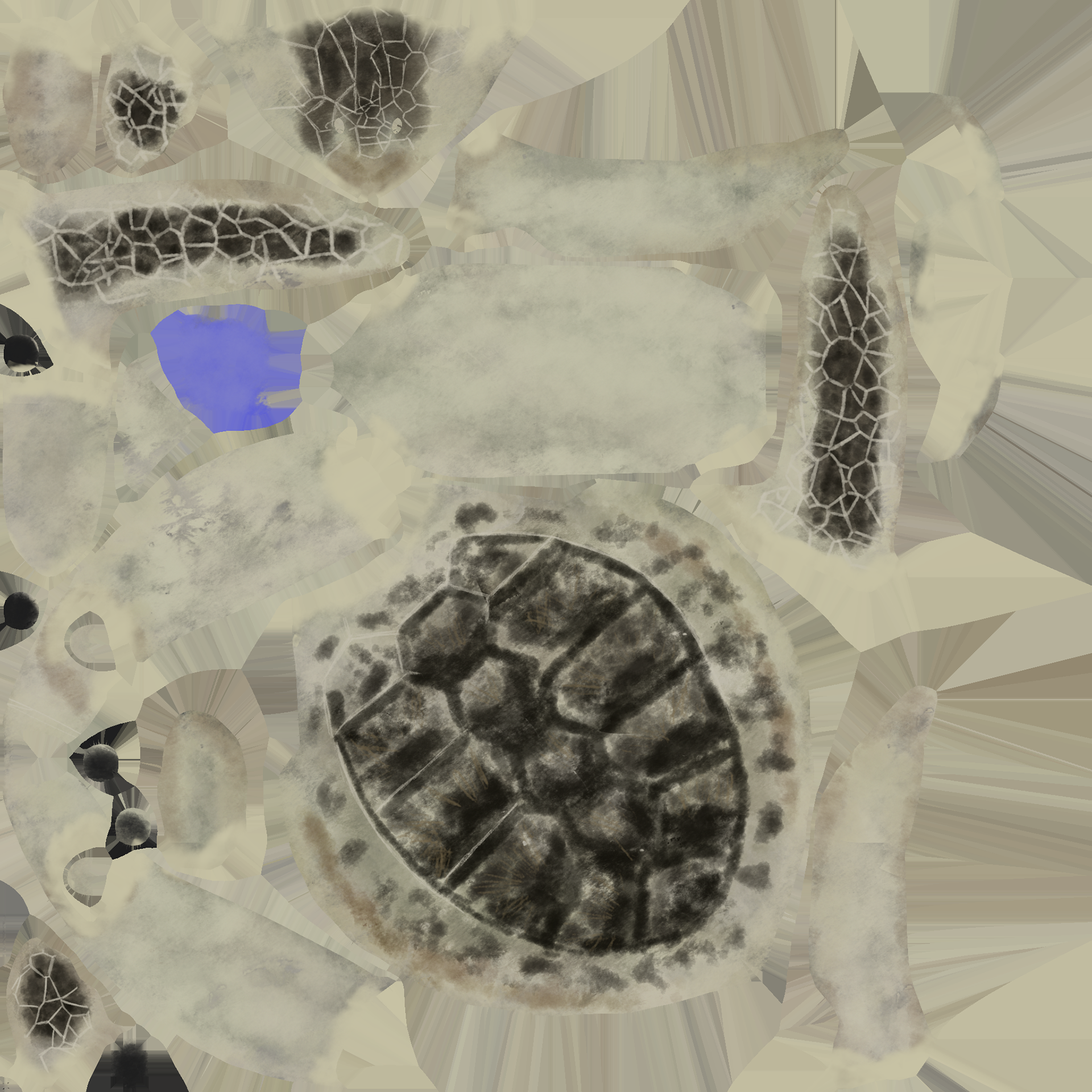 Albedo Map of Turtle