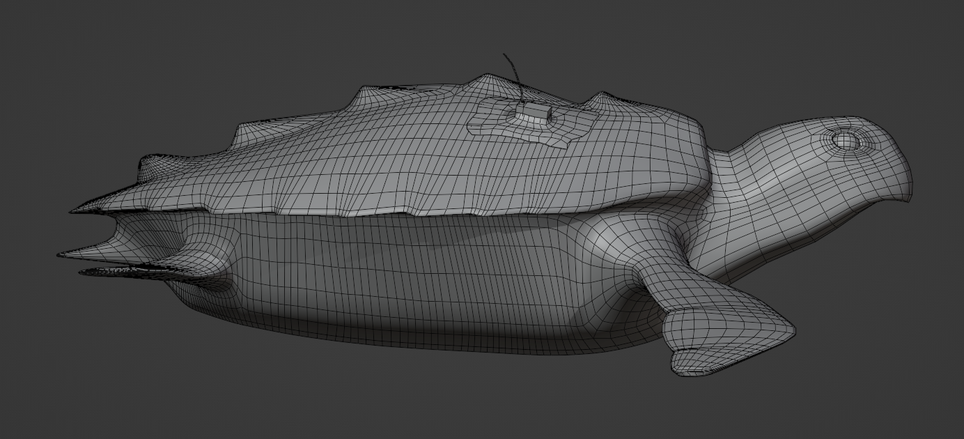 Low Poly Version of Turtle (Main Character) - Side View