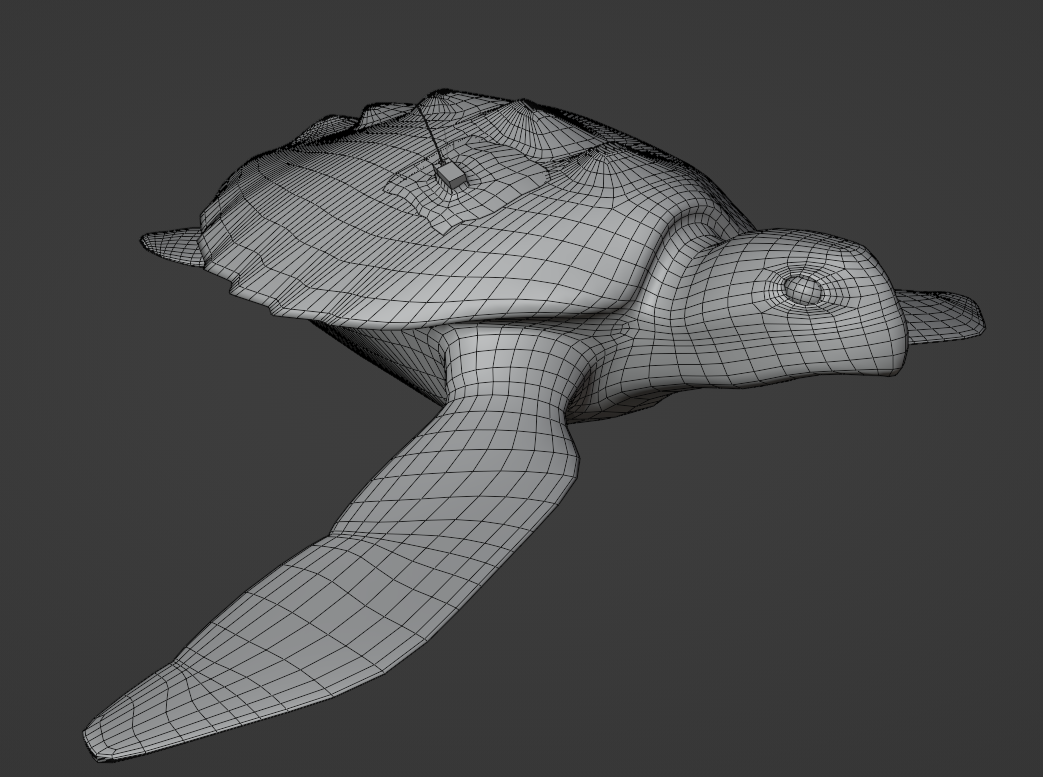 Low Poly Version of Turtle (Main Character)