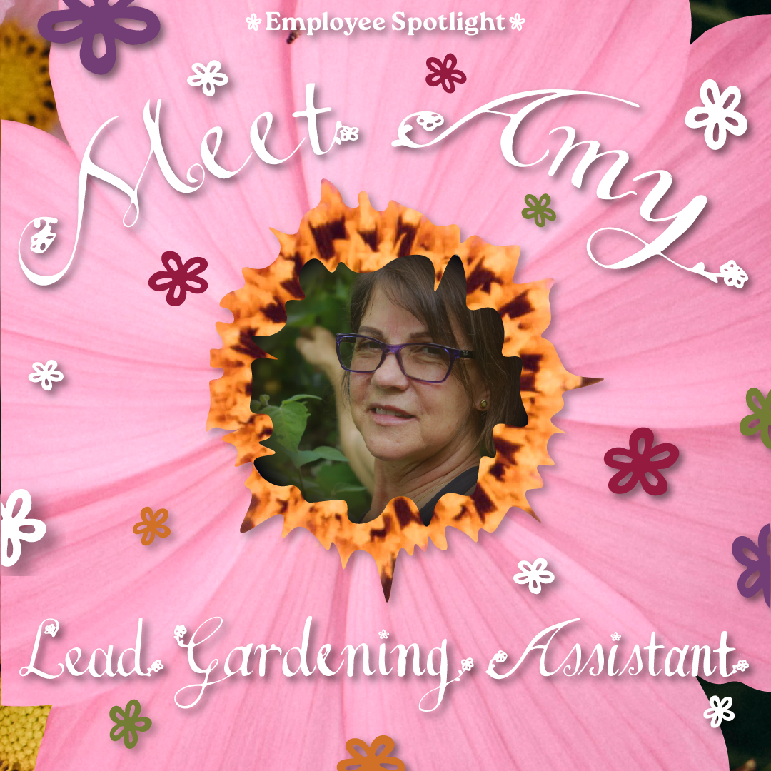 Hand Lettering social media post