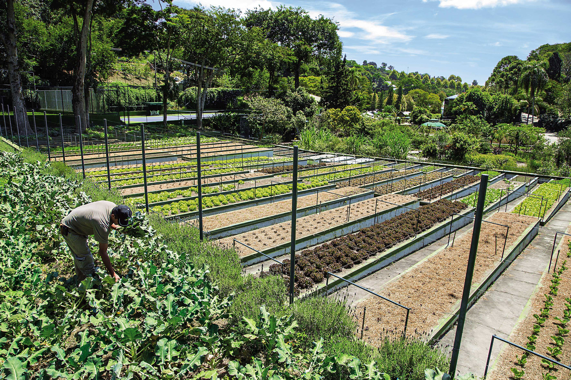 Horta de Ceres