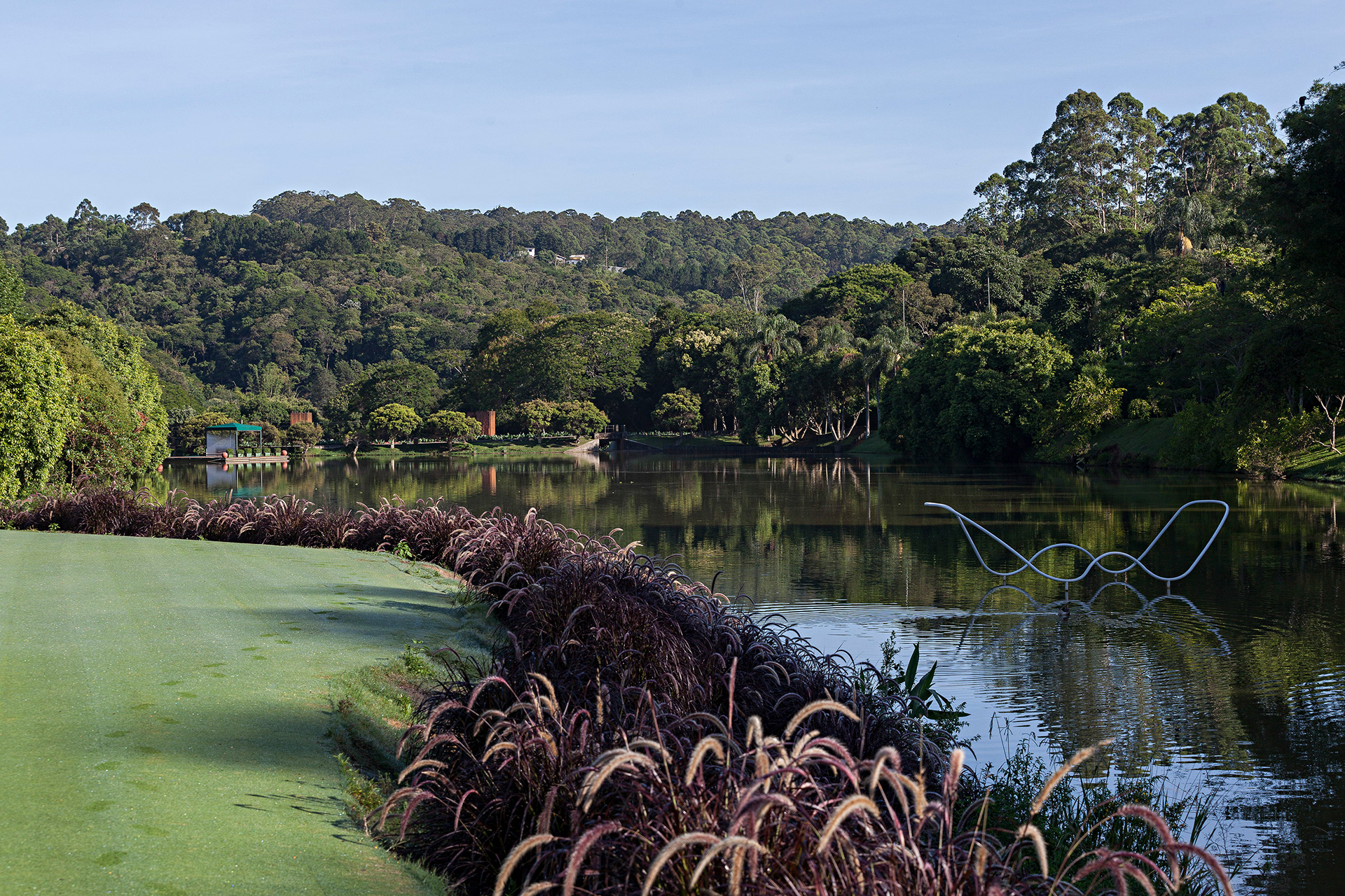Lago dos Cisnes